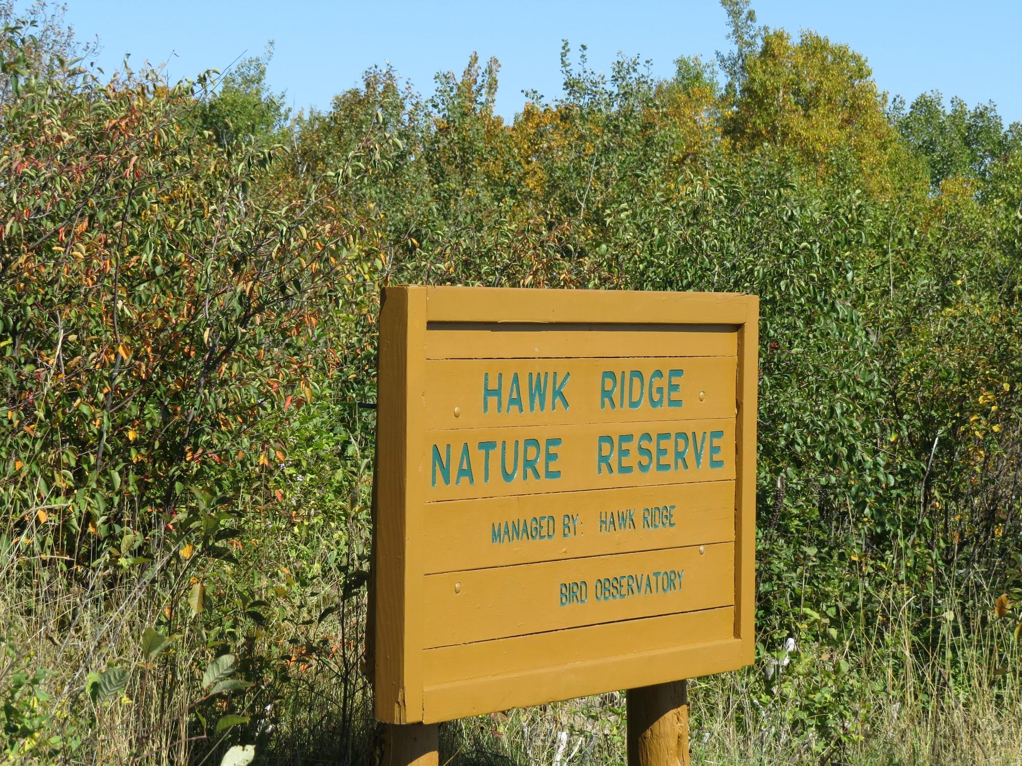 Hawk Ridge Bird Observatory