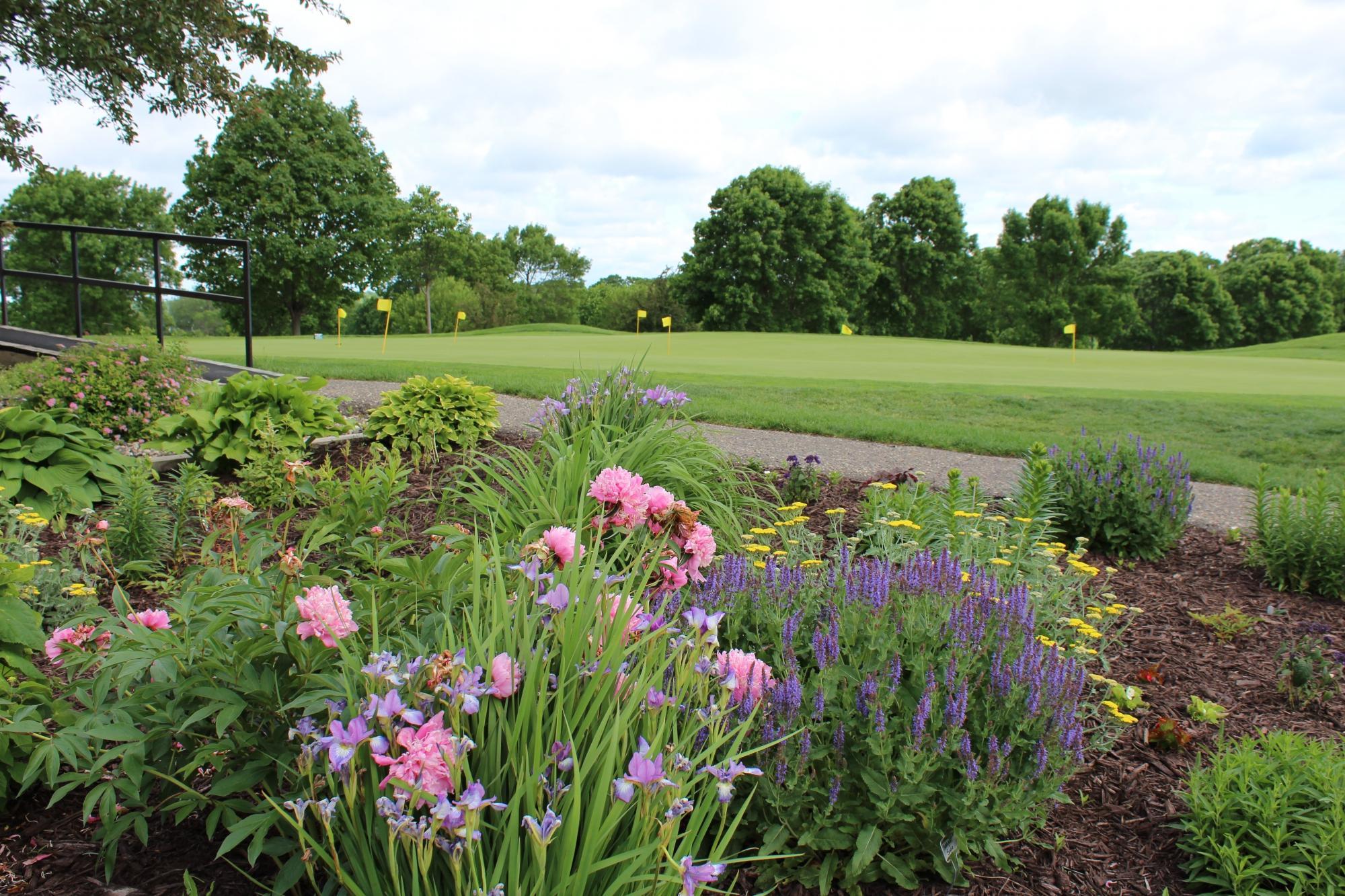 Island View Golf Club
