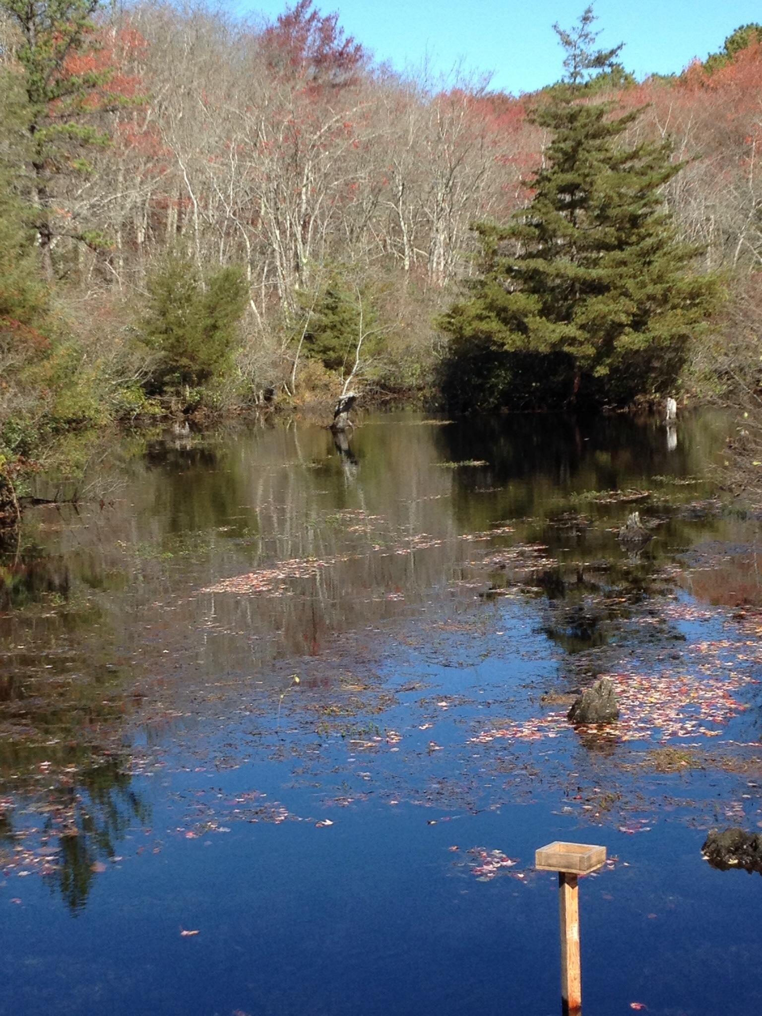 Quogue Wildlife Refuge