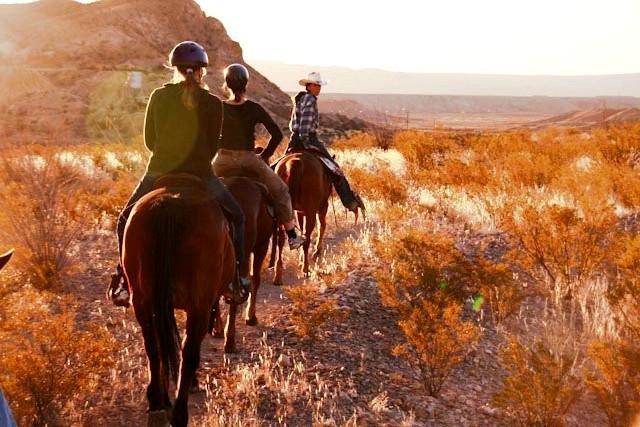 Lajitas & Big Bend Stables - Day Tours