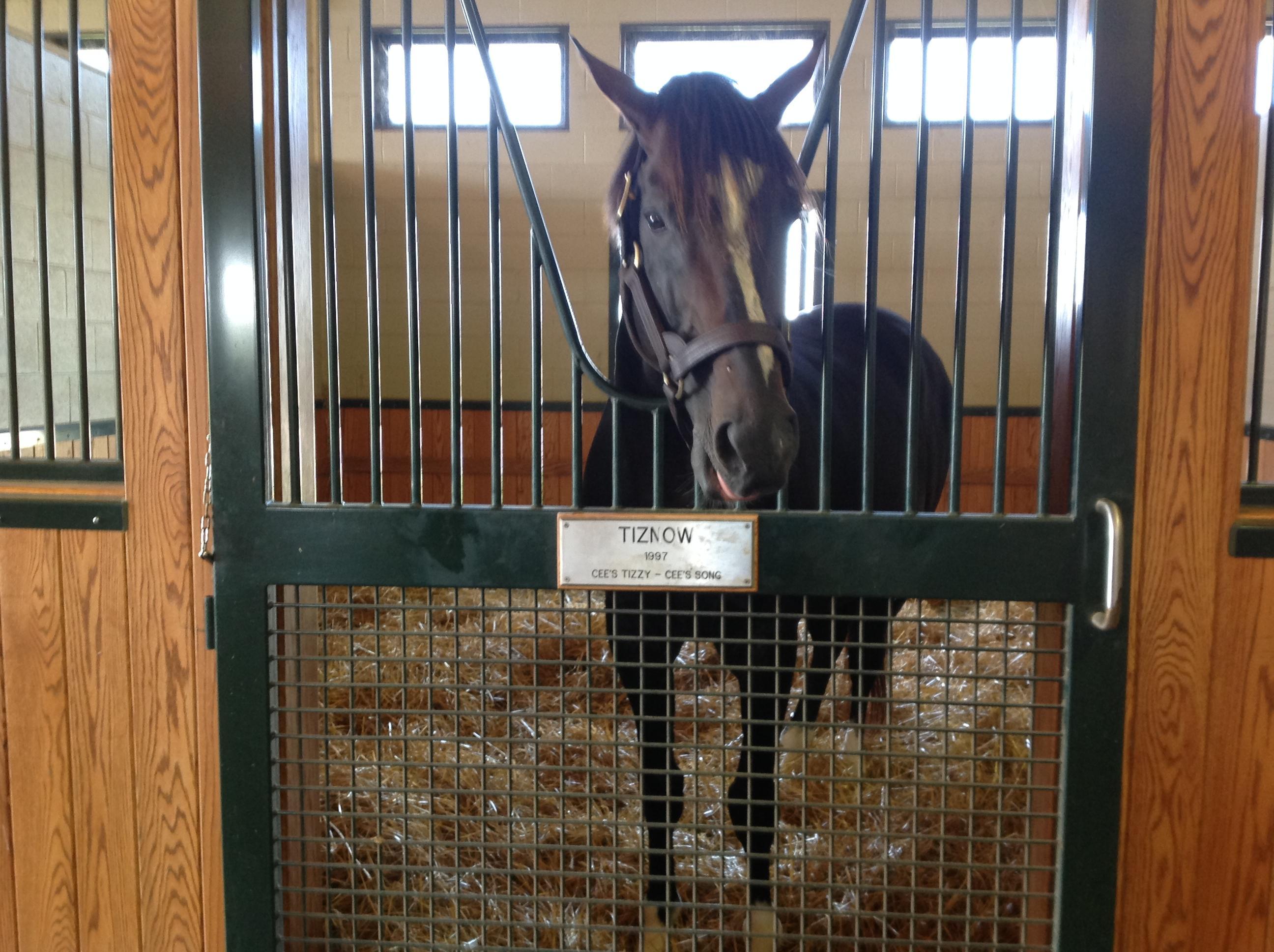 Kentucky Horse Tours- Day Tours