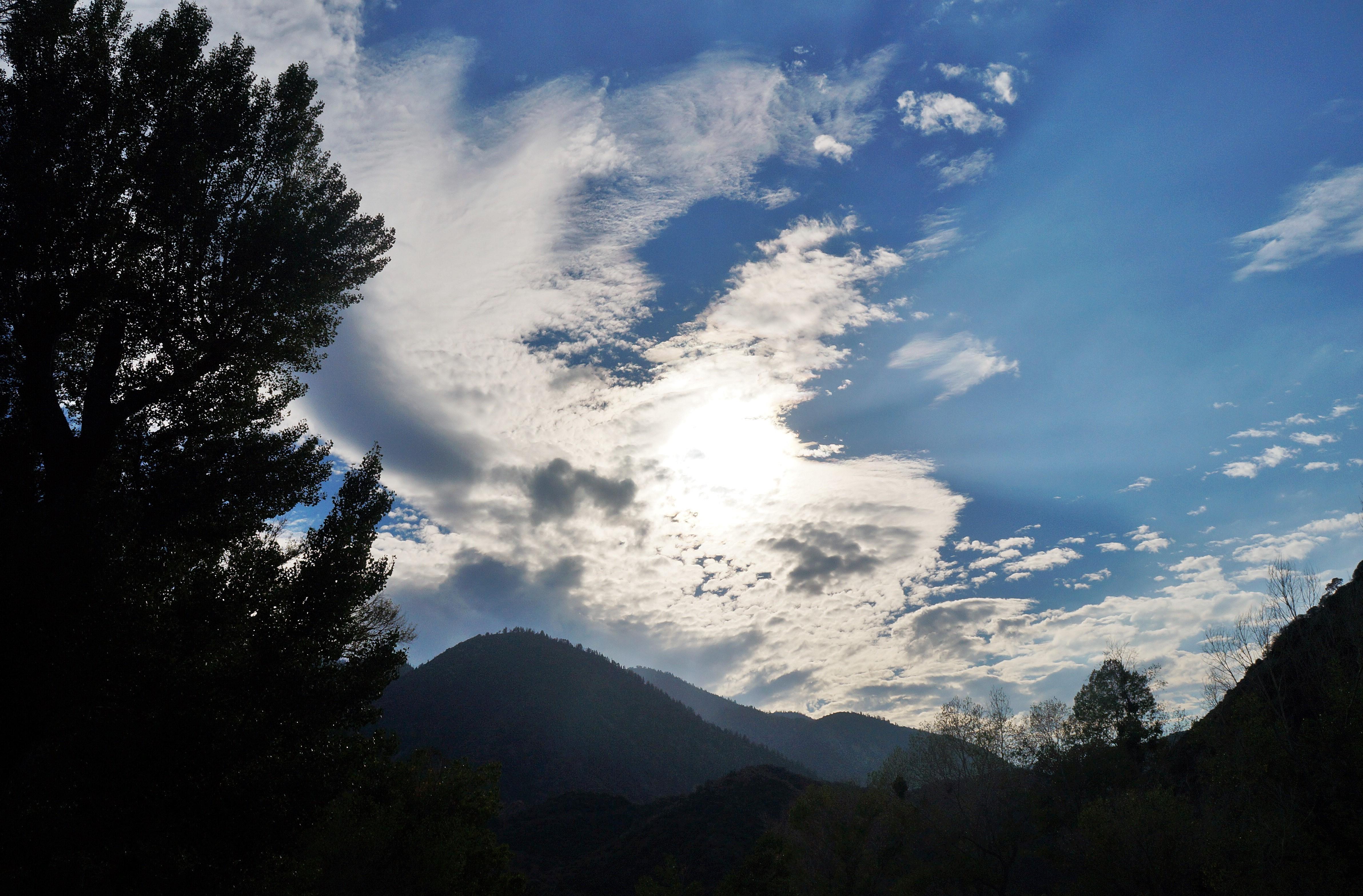 Photo by ArtRussianMom