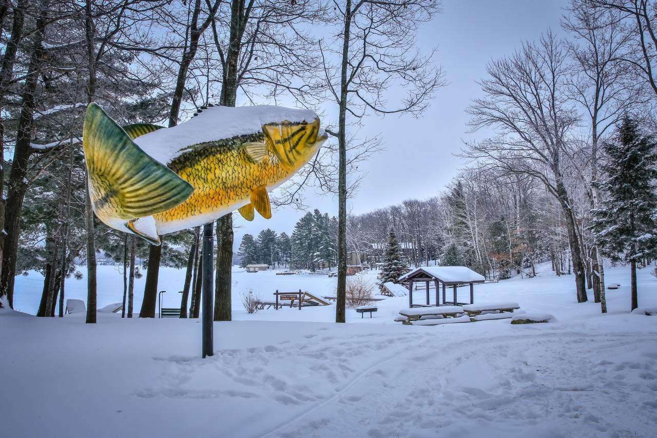 Frank B. Koller Memorial Park