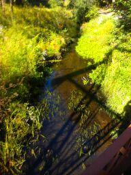 Photo by livingdedgrl