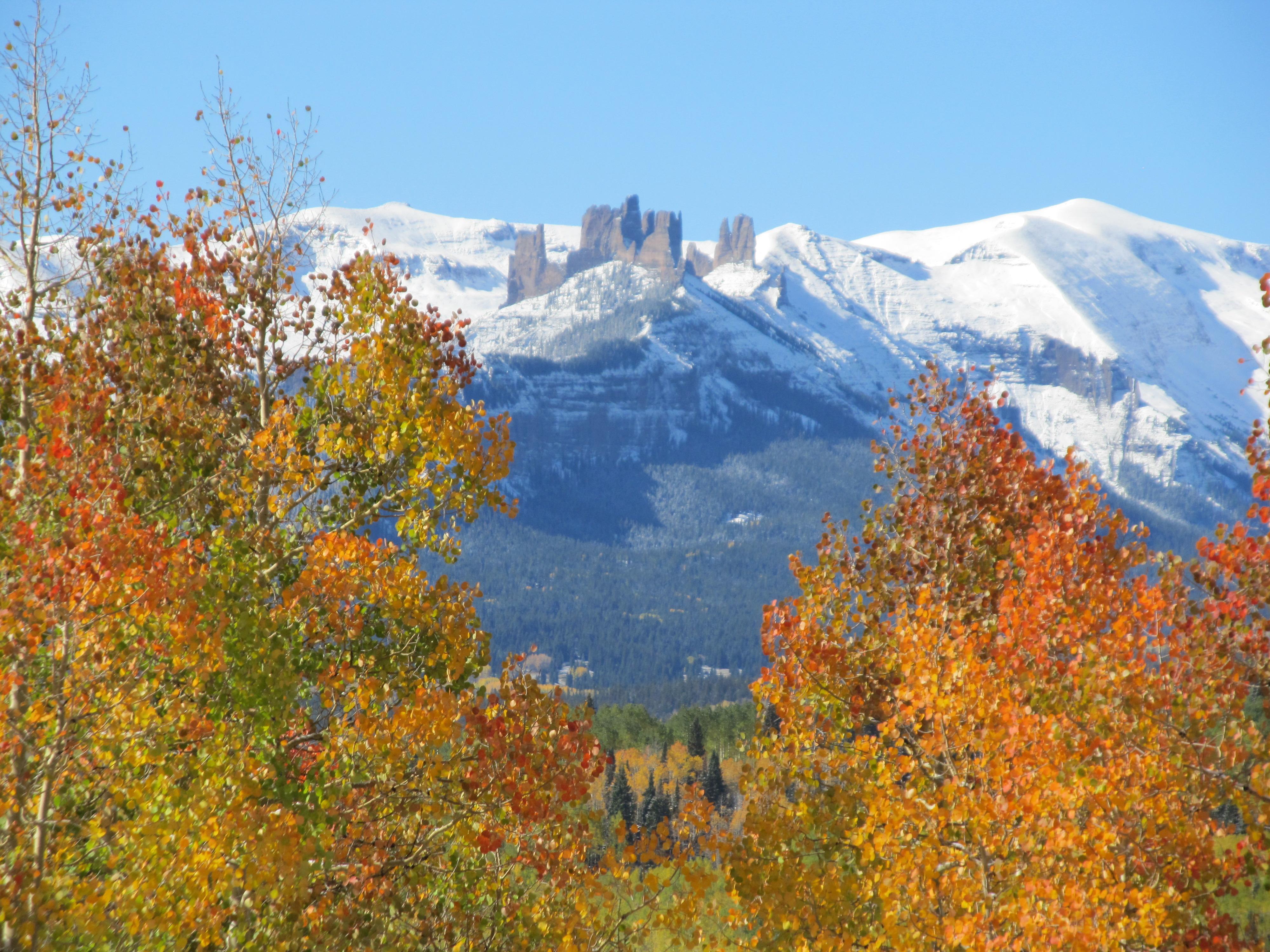 Gunnison National Forest