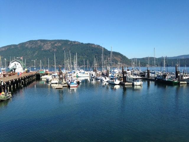 Photo by debportmoody