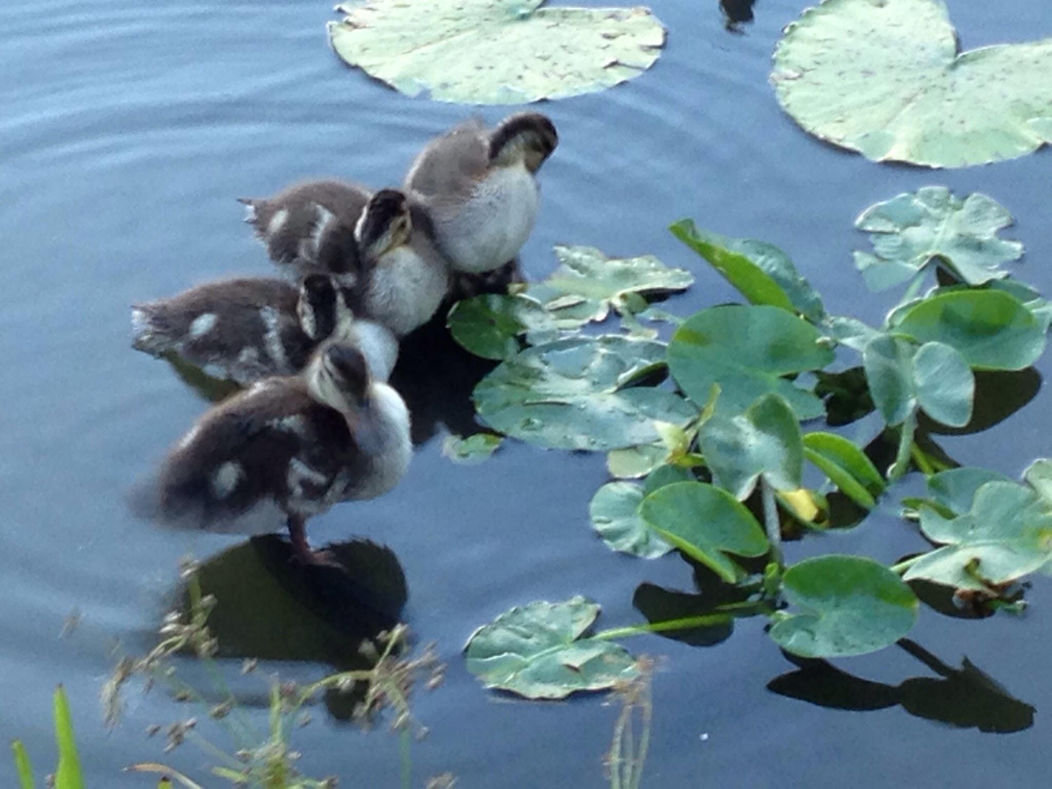 Photo by nwvacationers