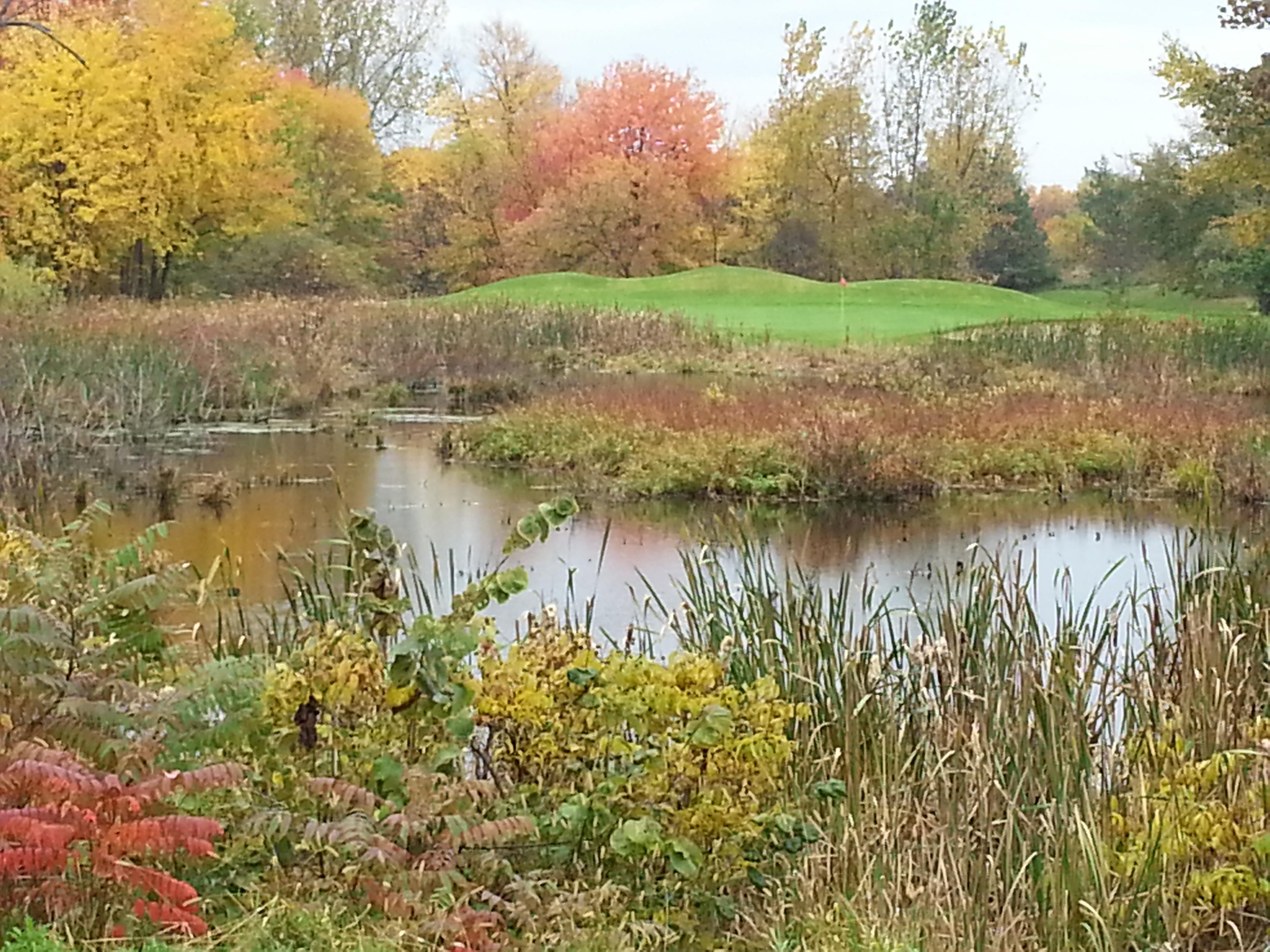 Fenton Farms Golf Club