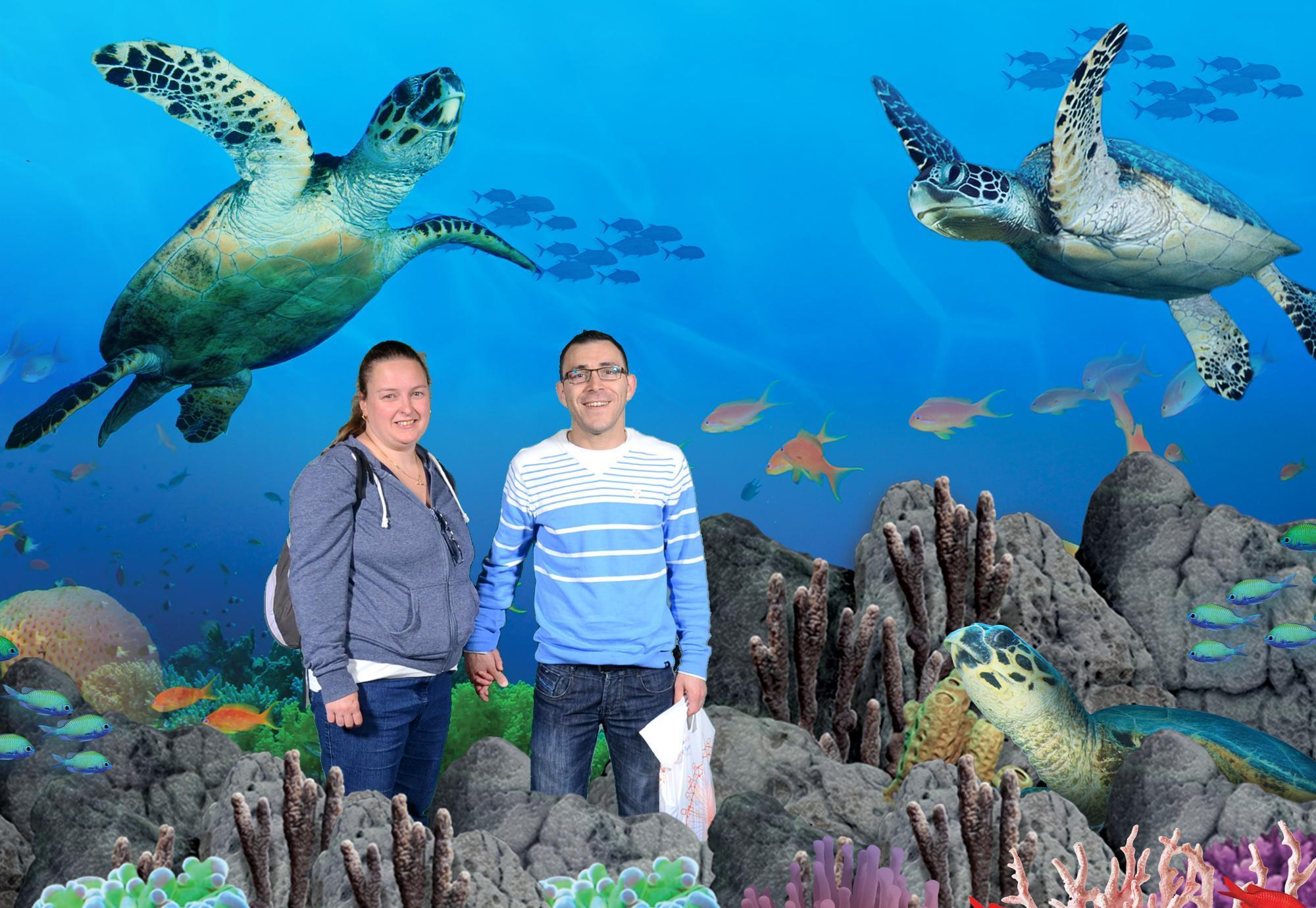 SEA LIFE London Aquarium