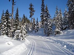 Les Sentiers La Balade de Lévis