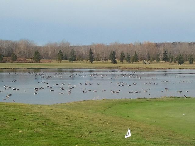 River Ridge Golf & Country Club