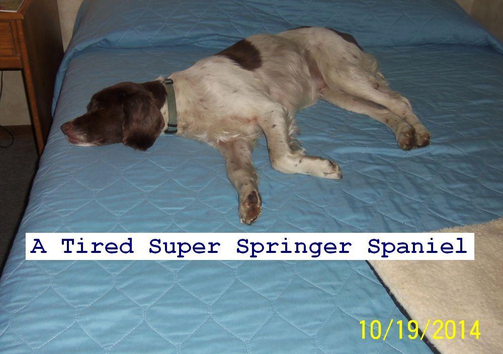 Photo by Piscataquog