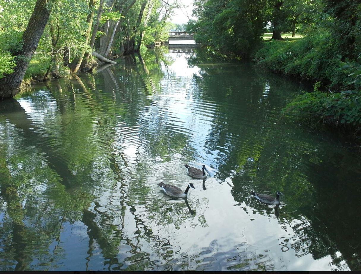 Lakeshore Nature Preserve at University of Wisconsin
