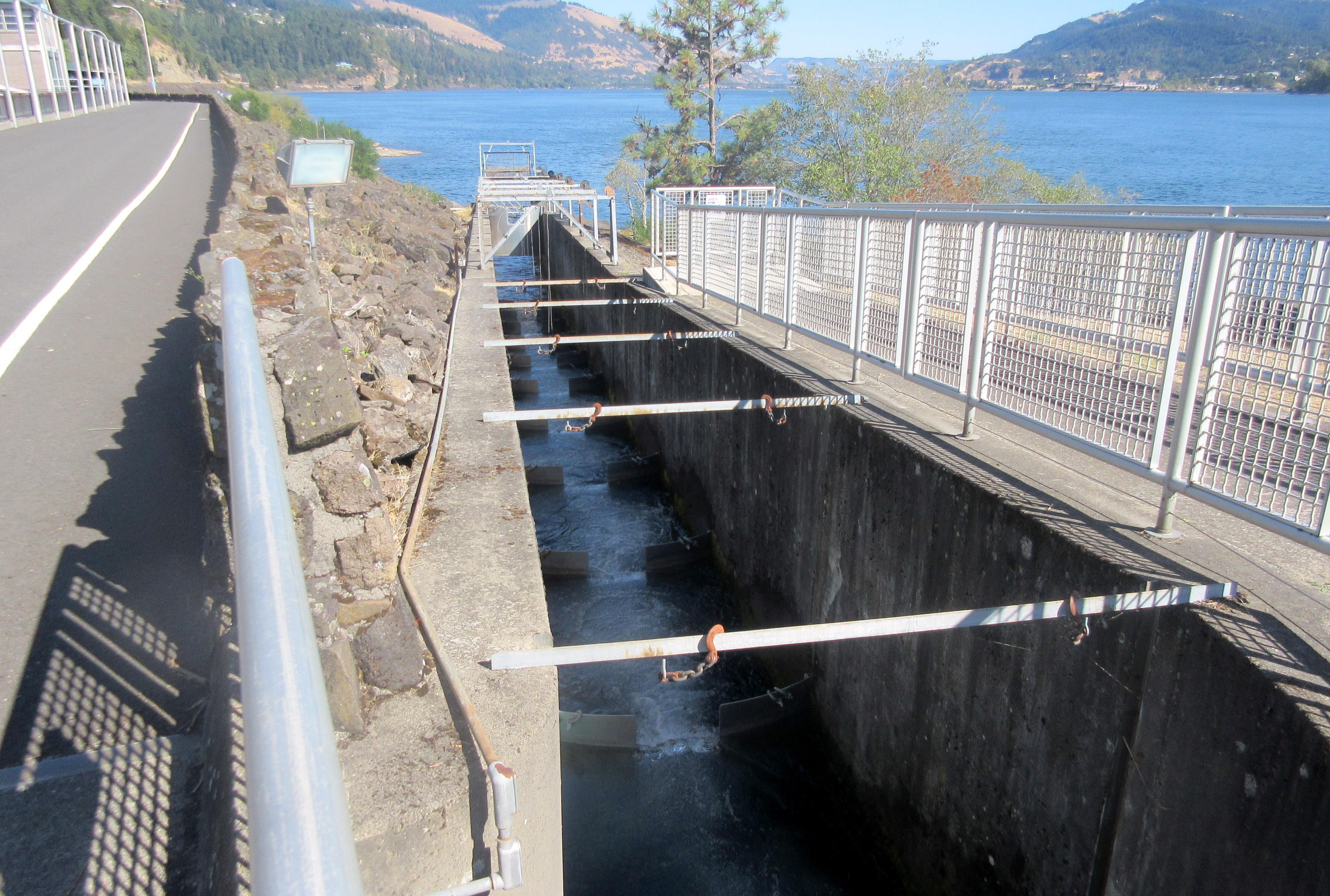 Spring Creek National Fish Hatchery
