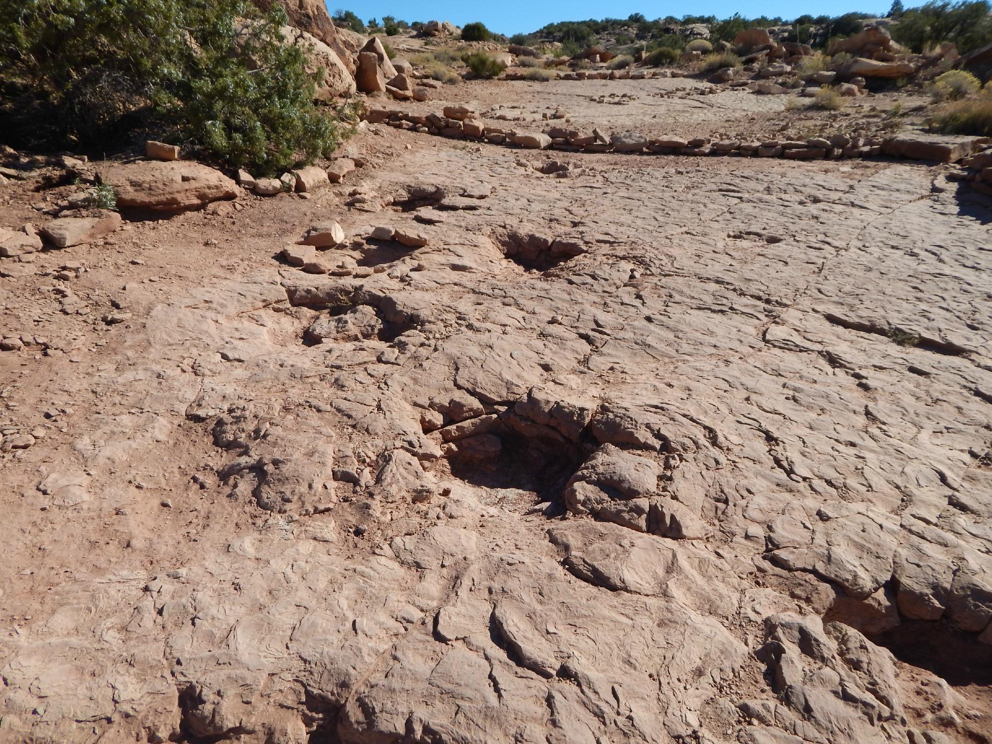 Photo by babyboomer66