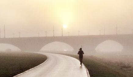SightRunning Dresden