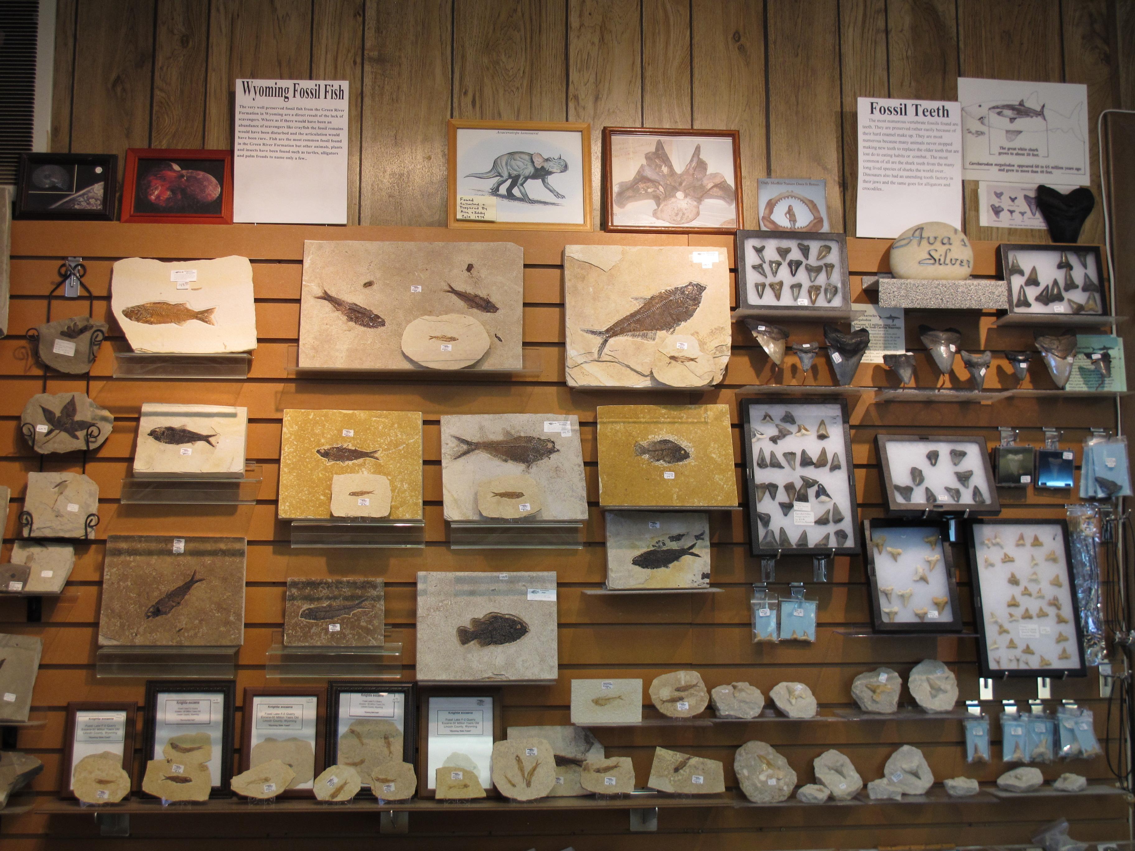 Ava's Silver & Rock Shop