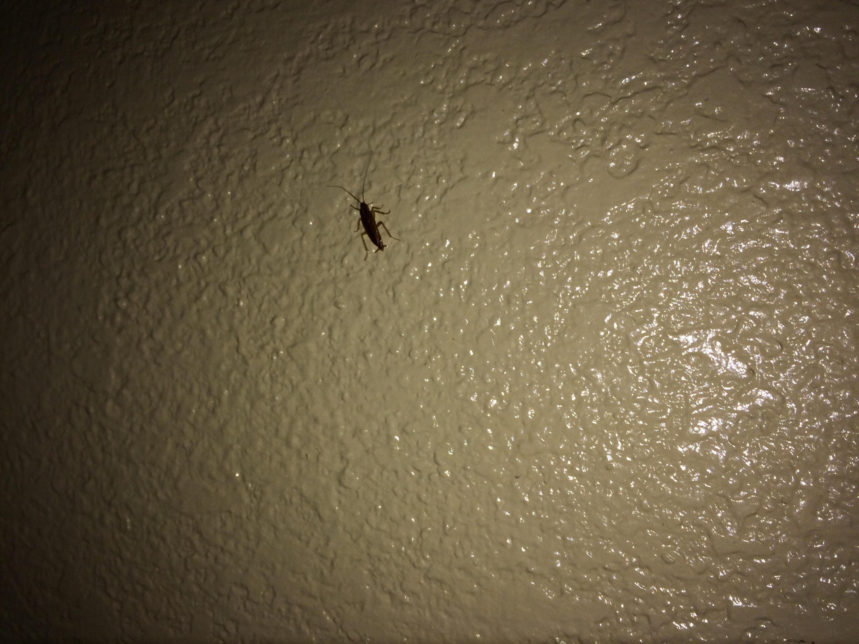 Econo Lodge Vincennes