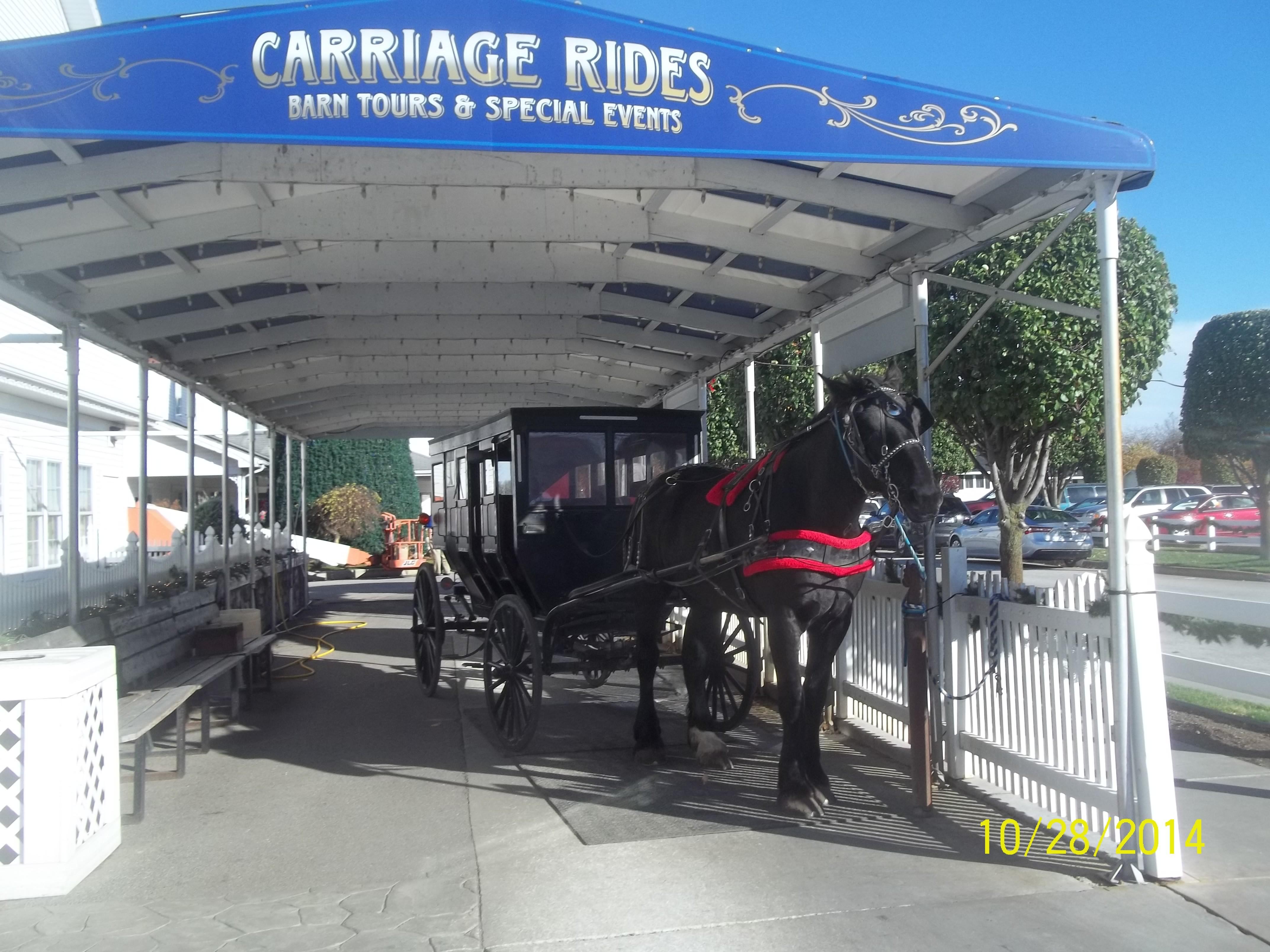 Buggy Line Day Tours