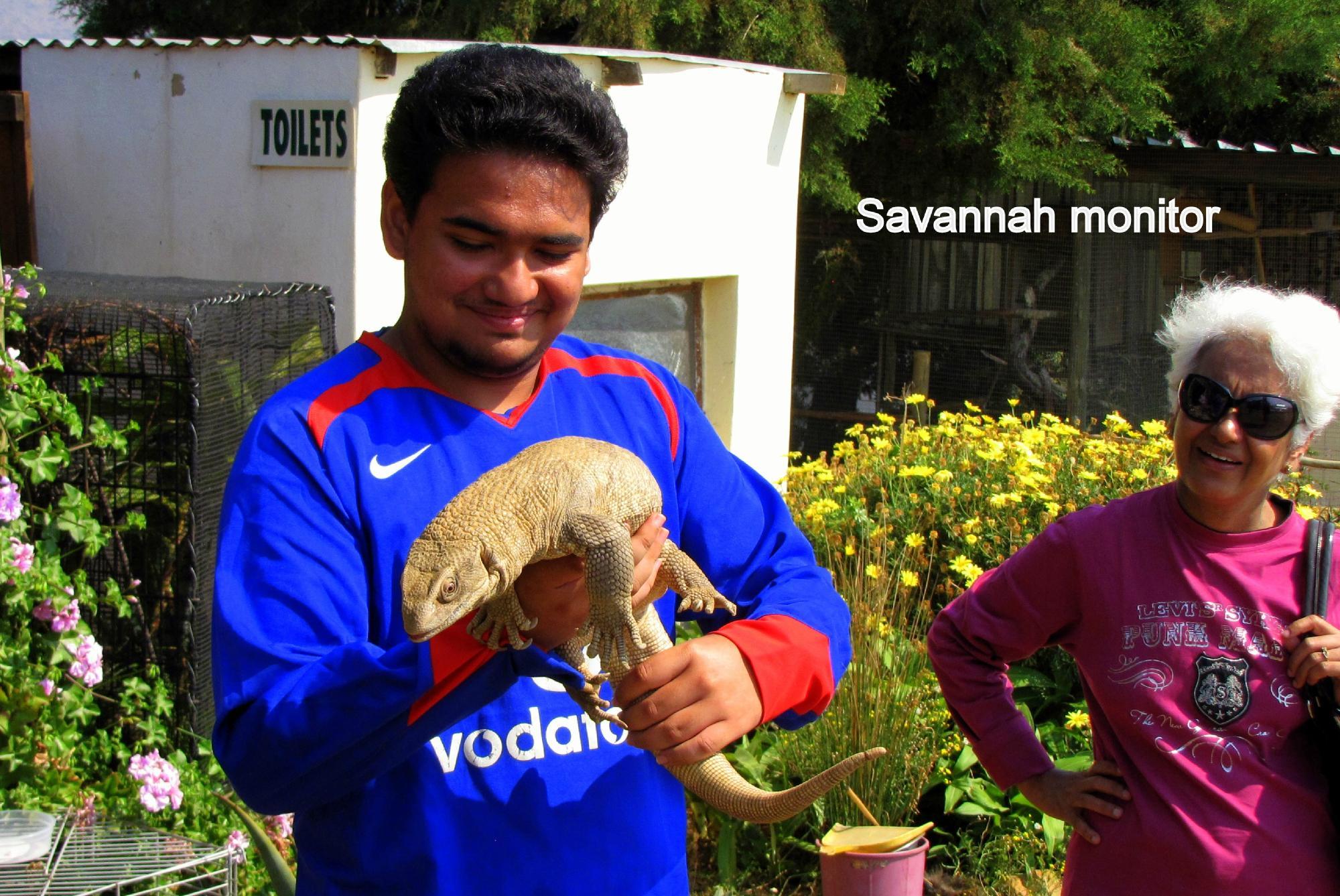 Dragon Rock Reptile Centre