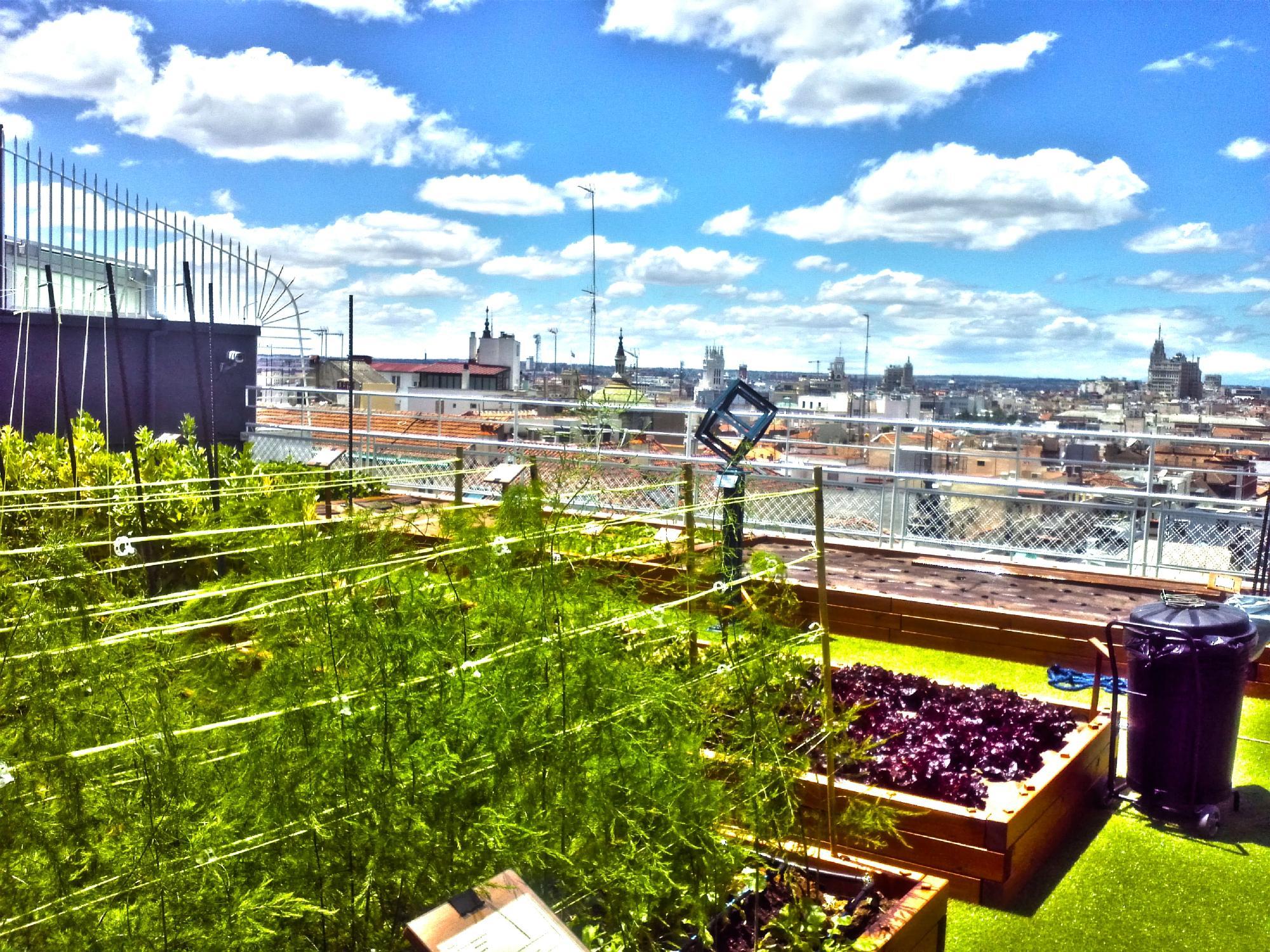 El Brunch del Wellington