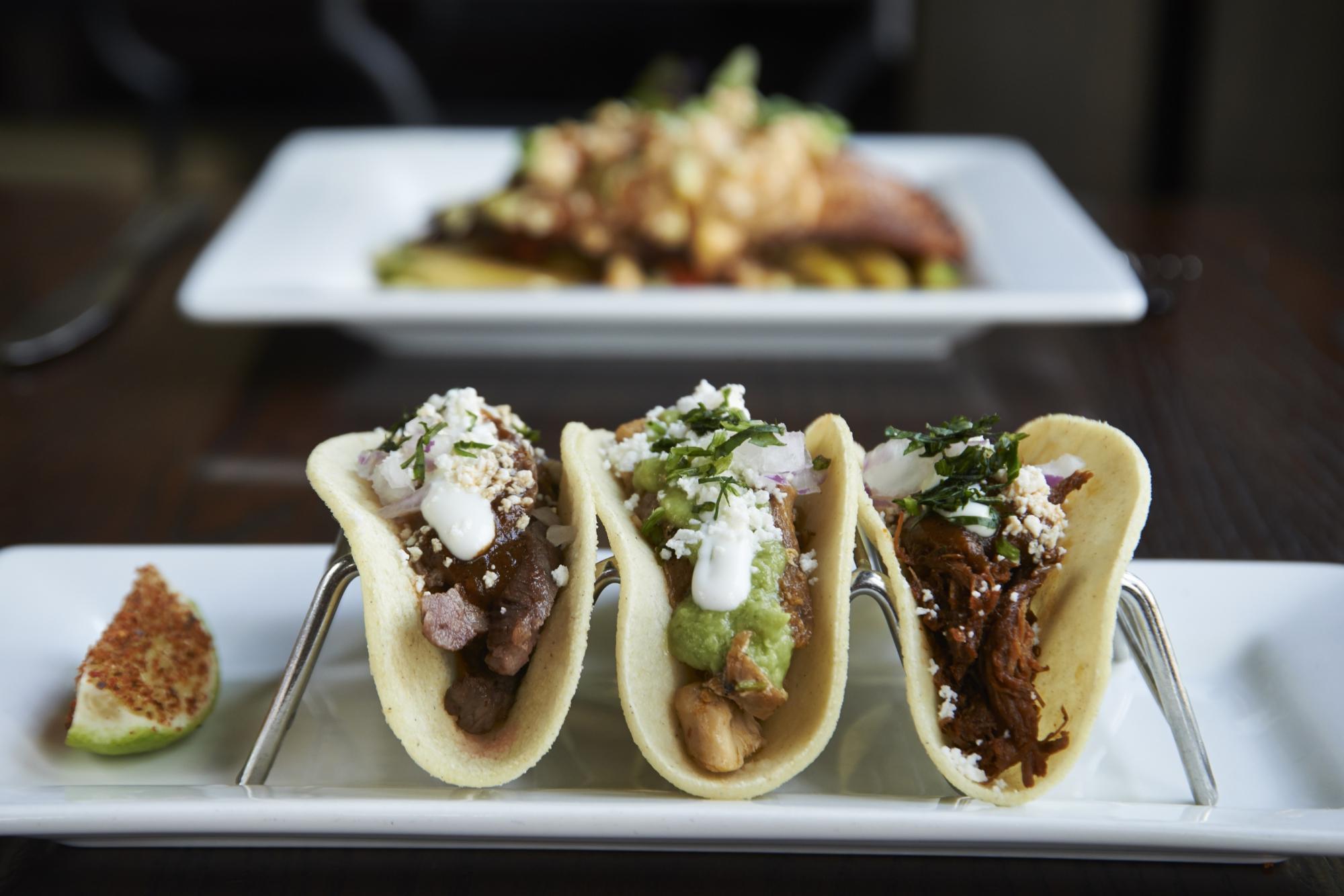 La Cantina De San Angel