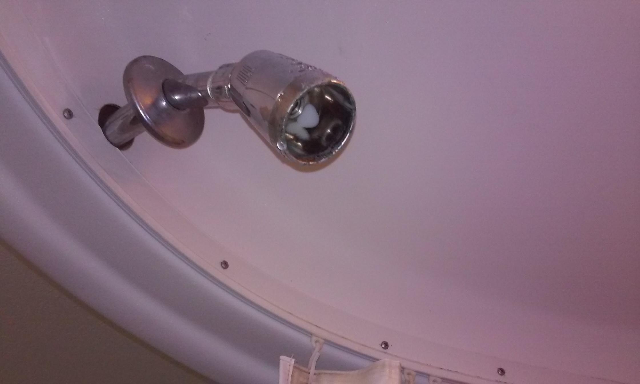 Photo by forevermorehonest