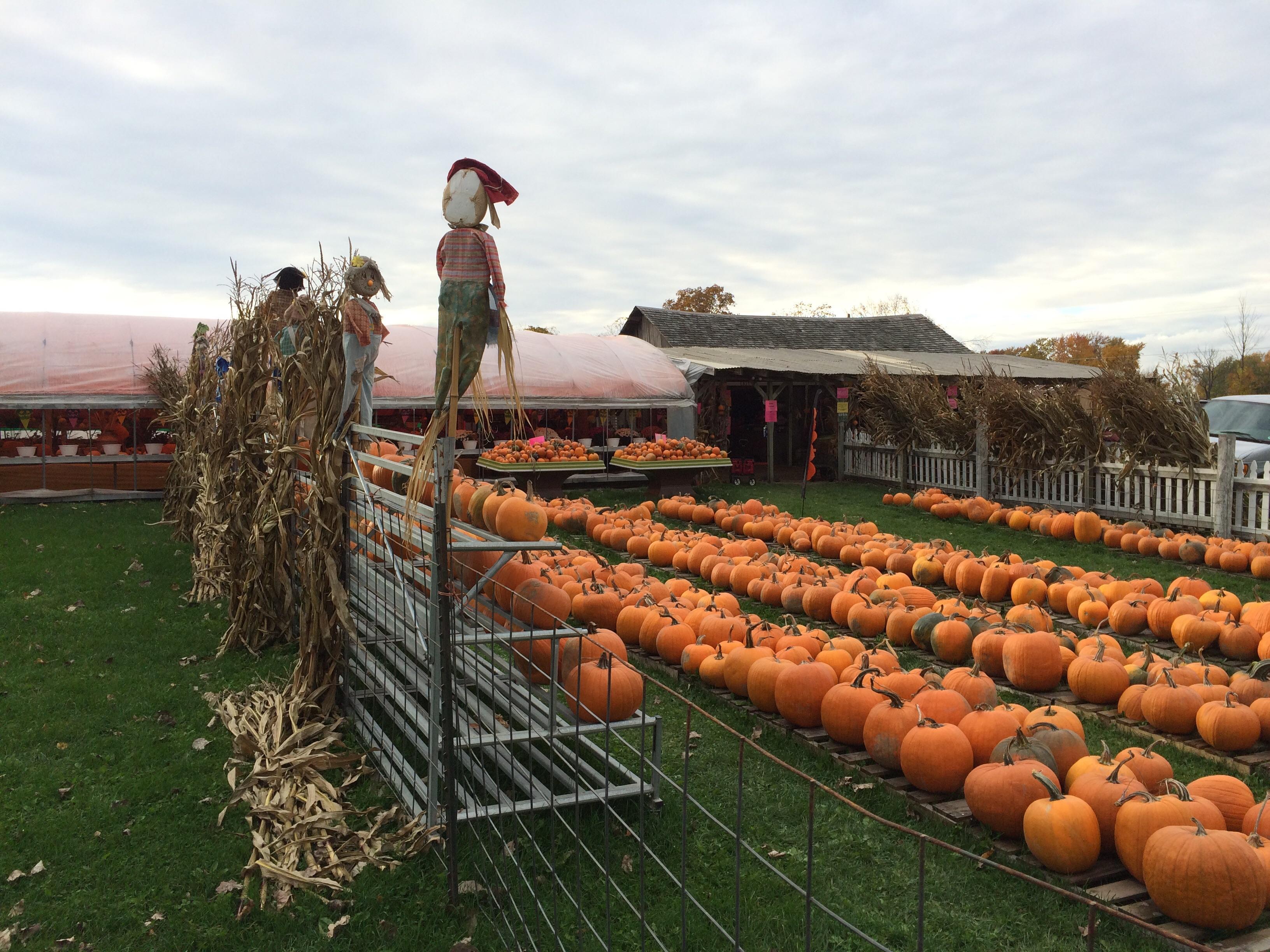 Mitchell Farm