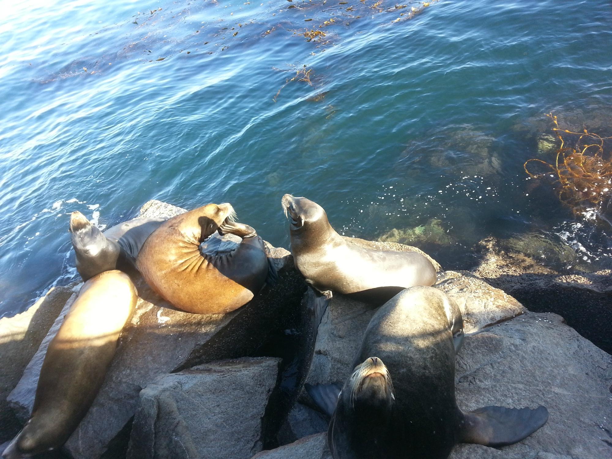 Photo by ihabelghazzawi