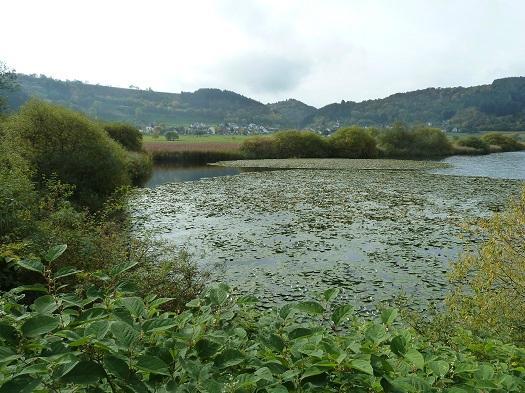 Landesblick Meerfelder Maar