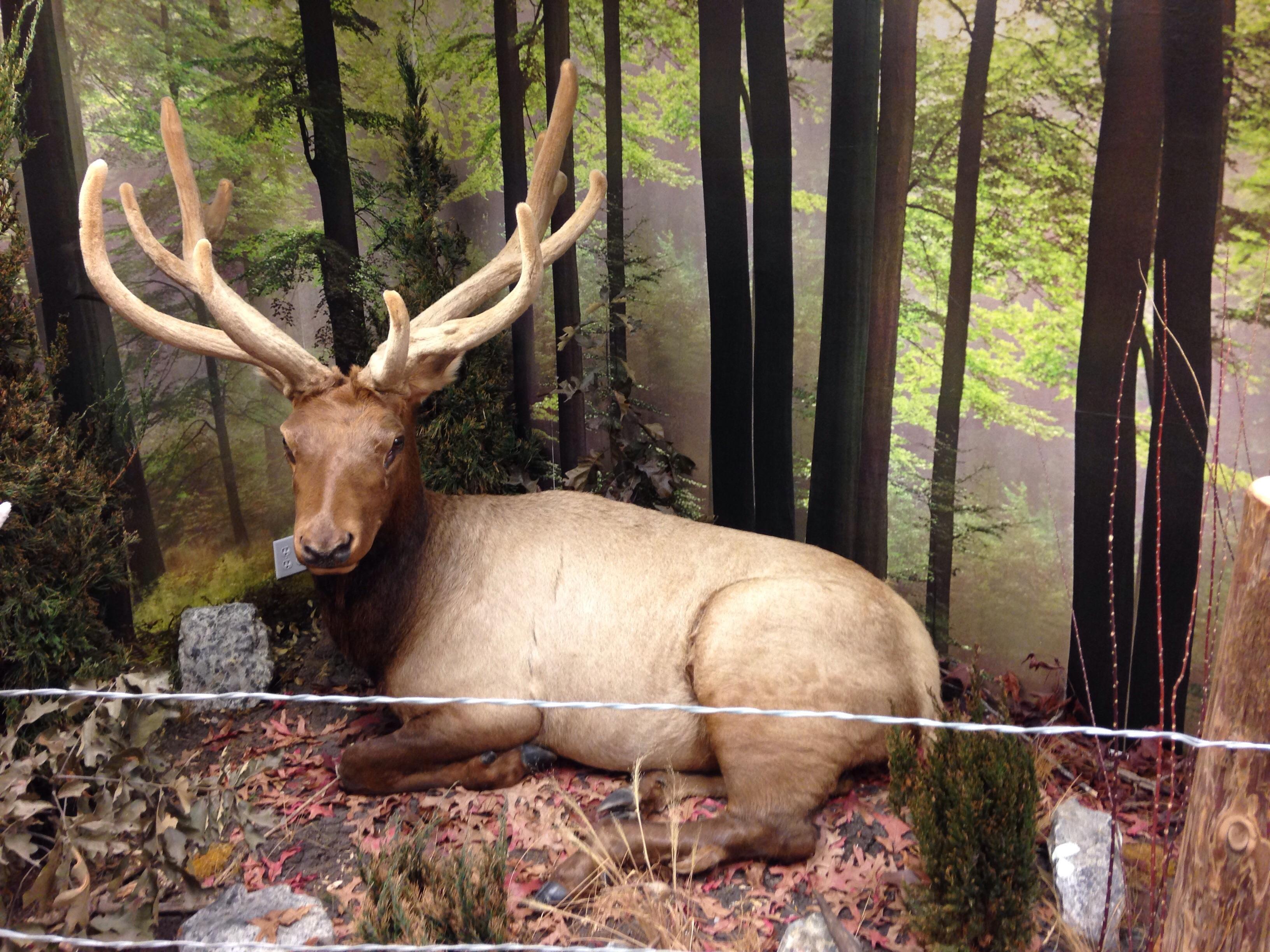 Ponca Elk Education Center