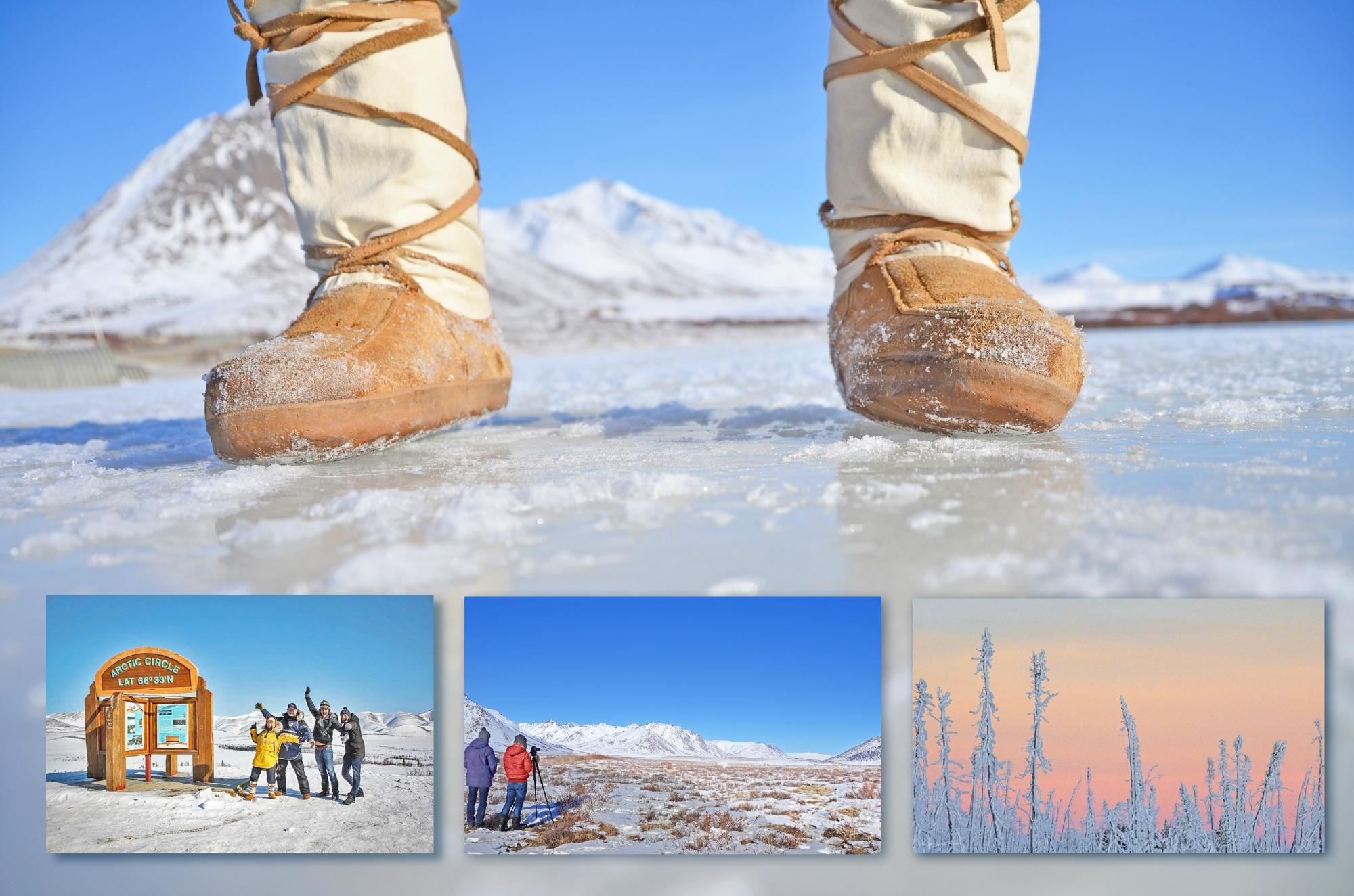 Nature Tours of Yukon