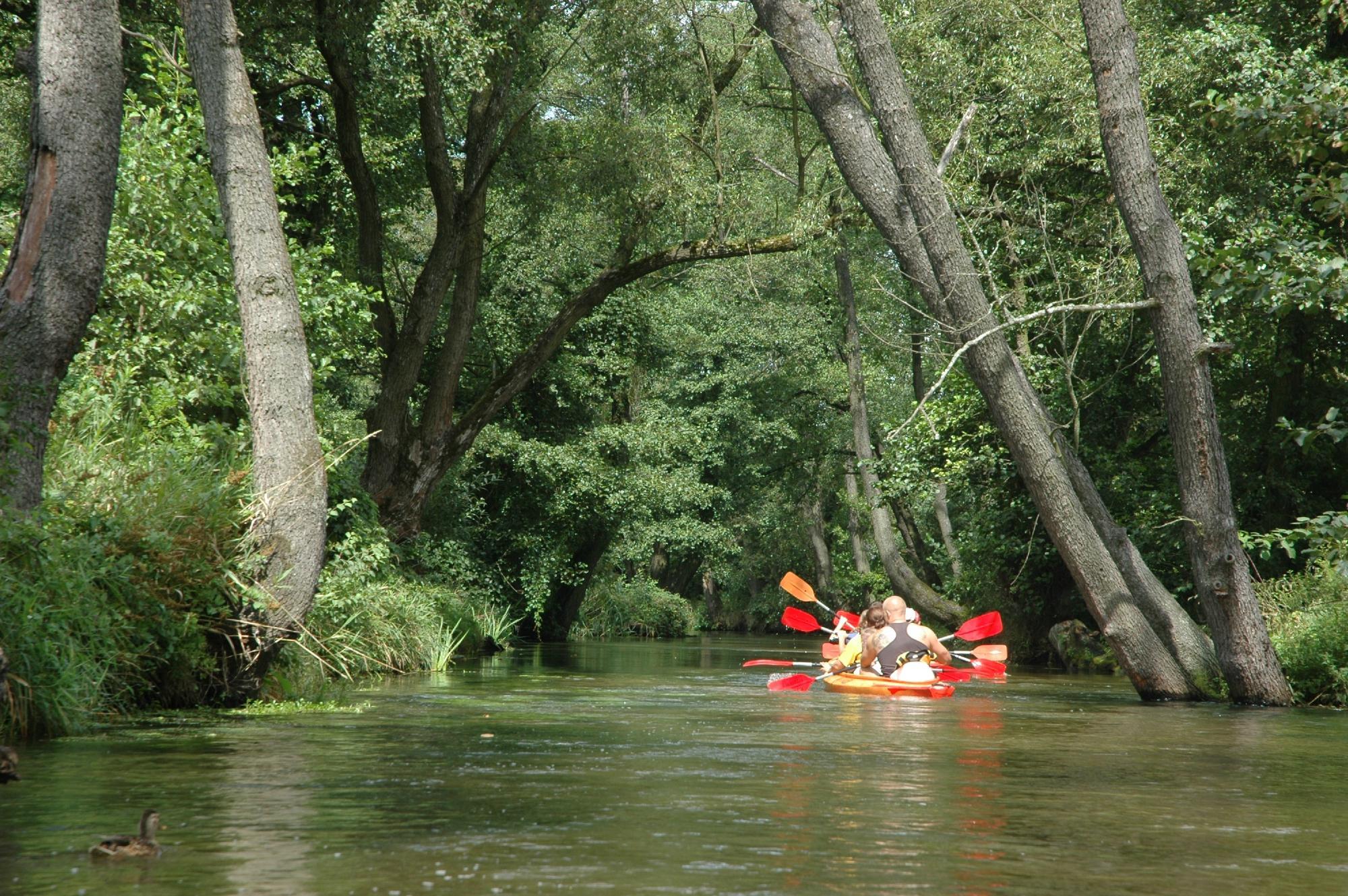 Kayaks - Nad Wieprzem