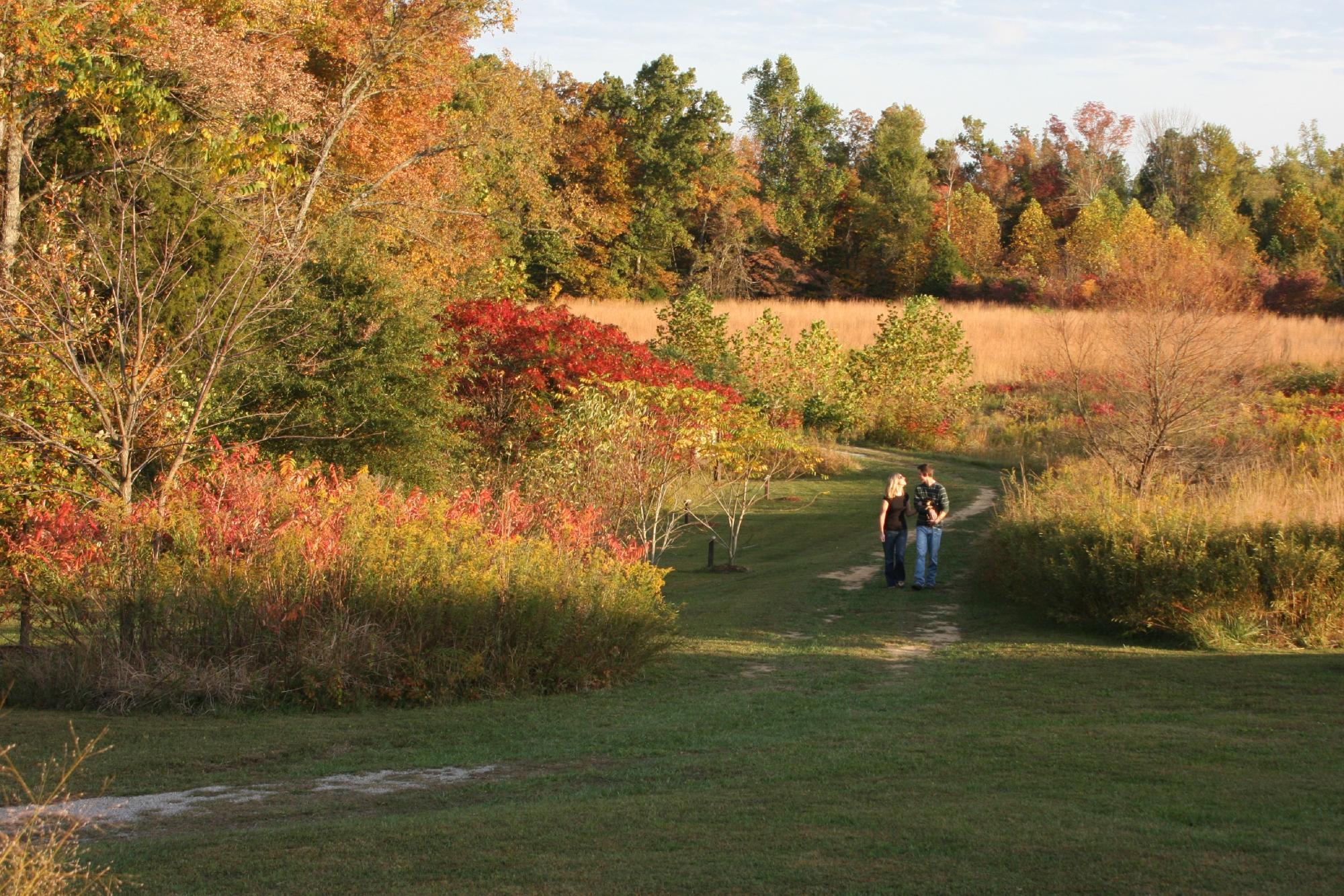 Clay Hill Memorial Forest