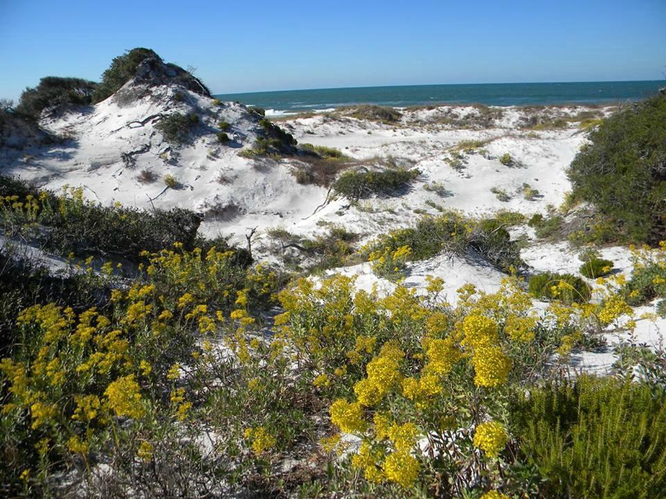St. Joseph Peninsula State Park
