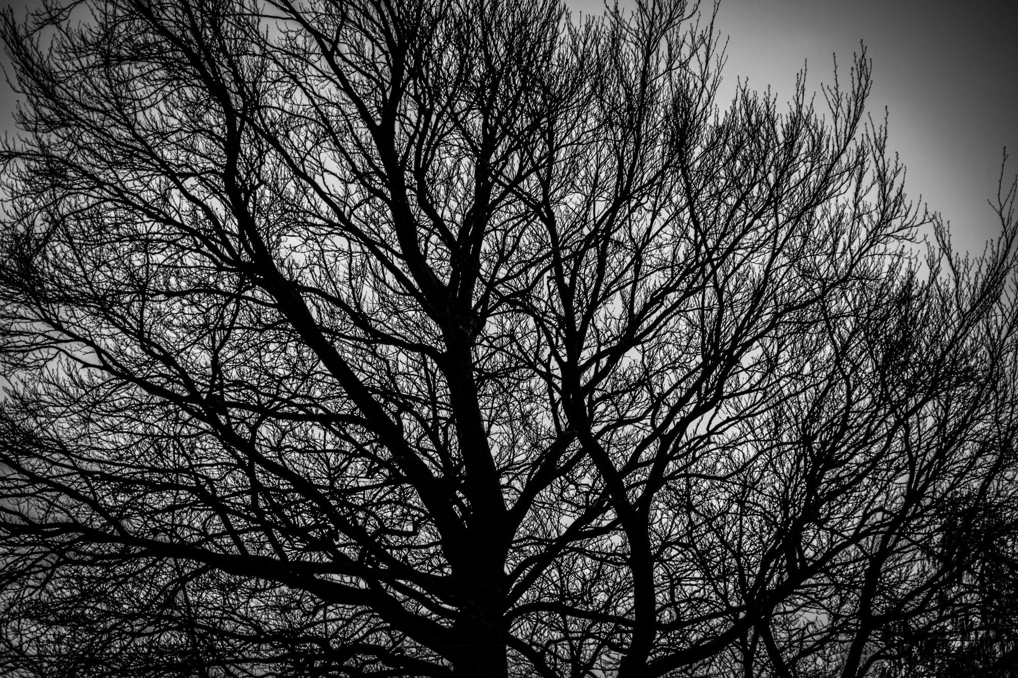 Kastanielund - Bed and breakfast