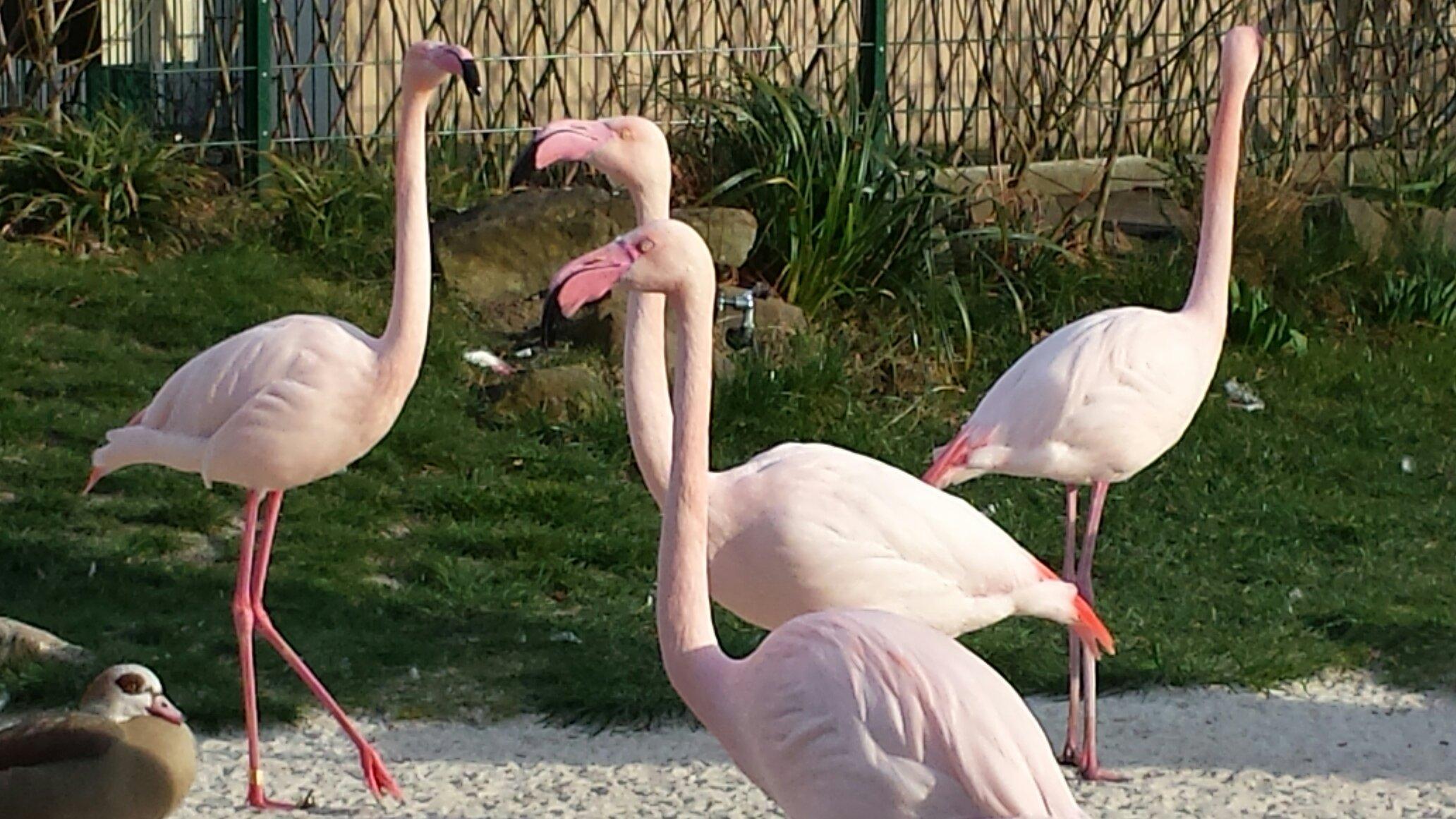 Tierpark und Fossilium Bochum