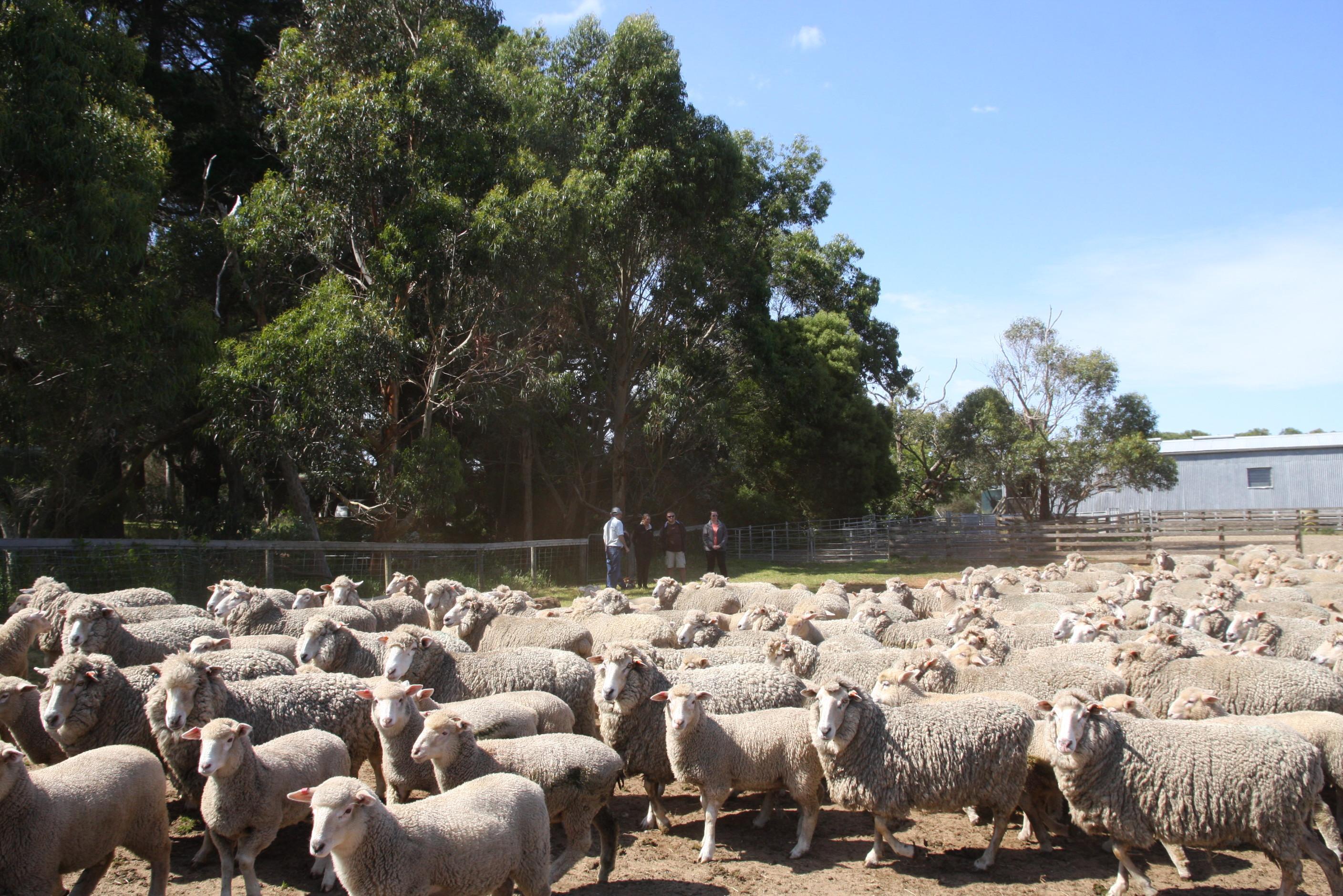 Gippsland Food Adventures - One Day Tours