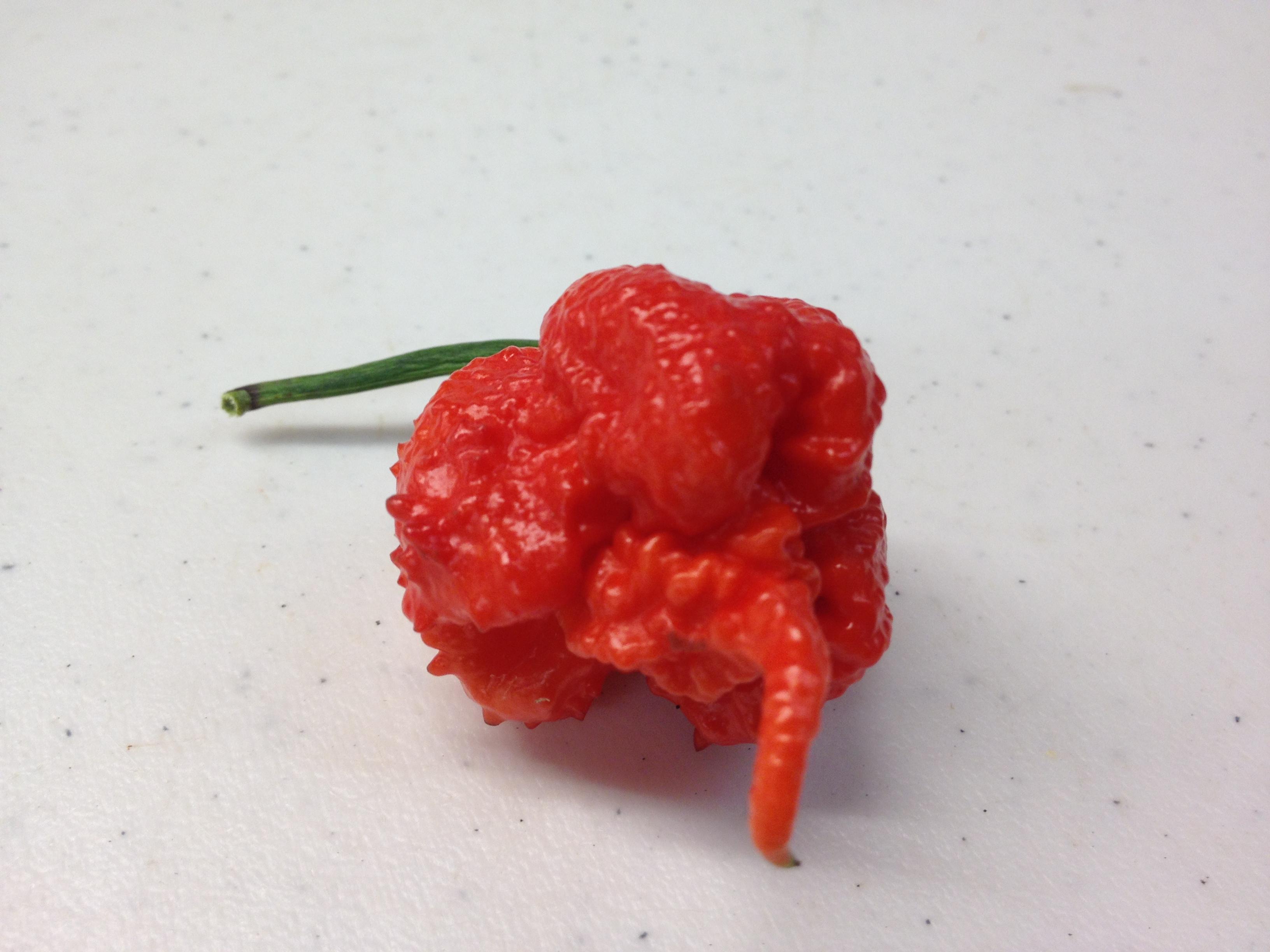 PuckerButt Pepper Company