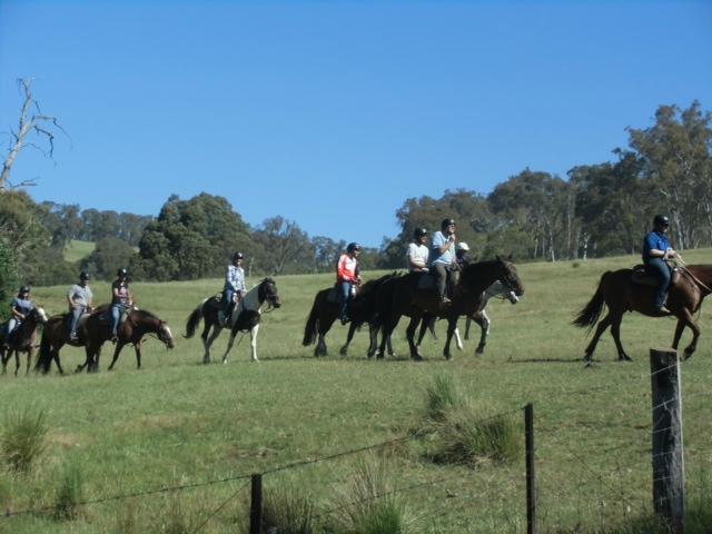 McCormack's Mountain Valley Trail Rides- Day Tours
