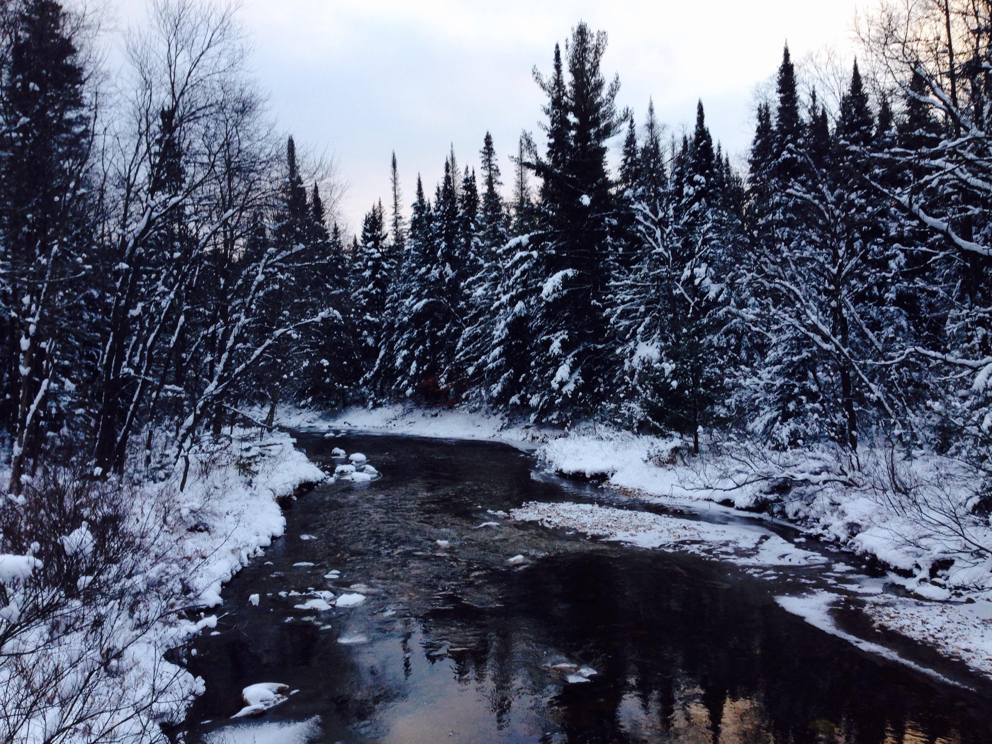 Lapland Lake Cross Country Ski Center