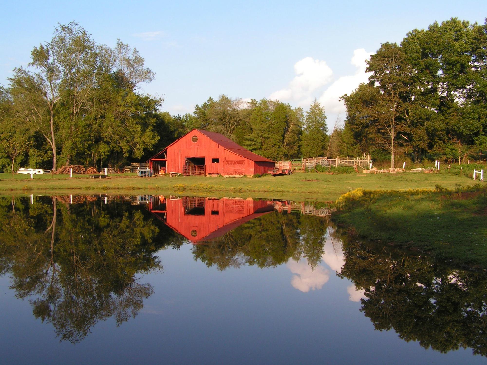Chestnut Hill Ranch Bed and Breakfast
