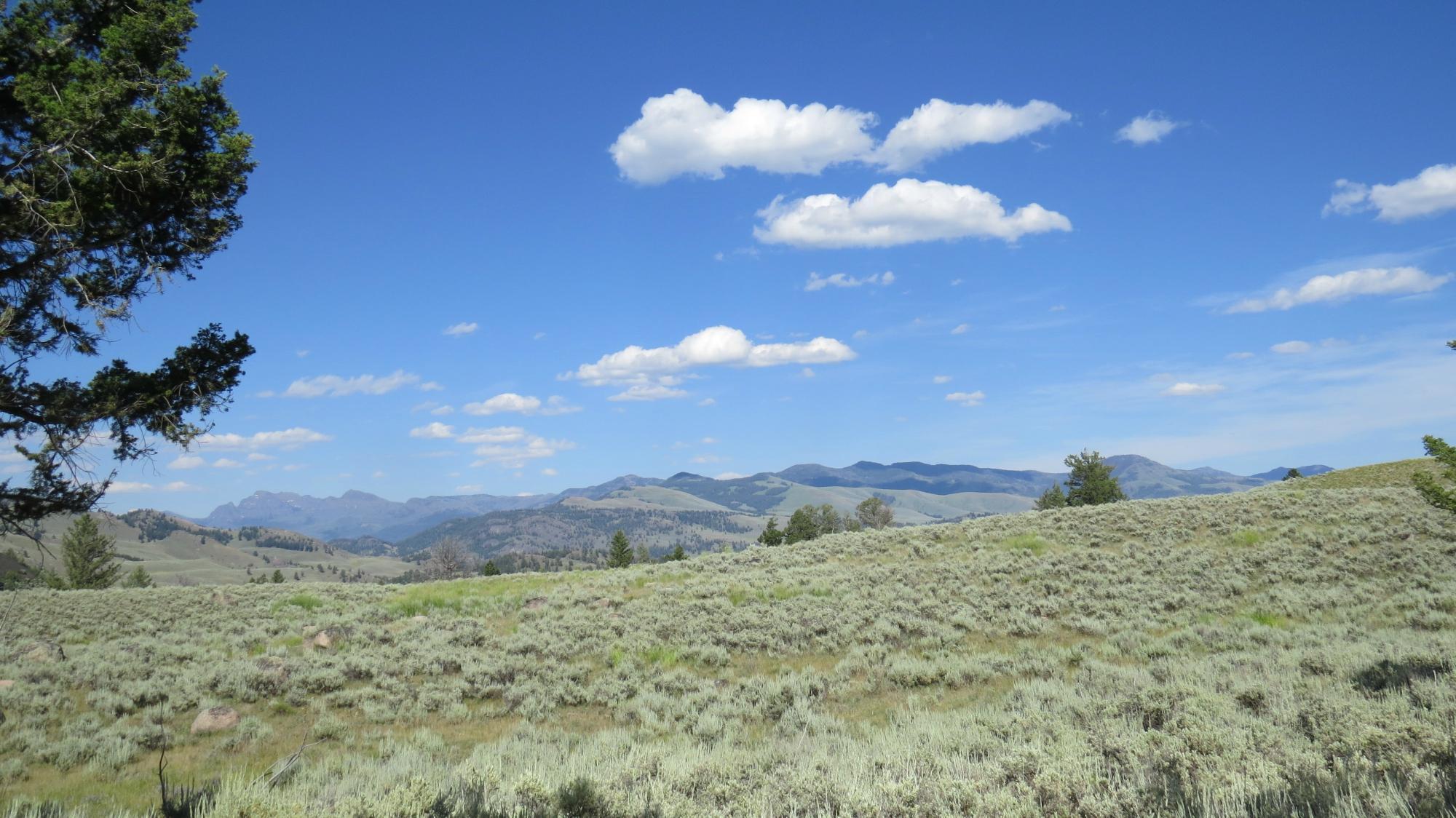 Yellowstone River Picnic Area