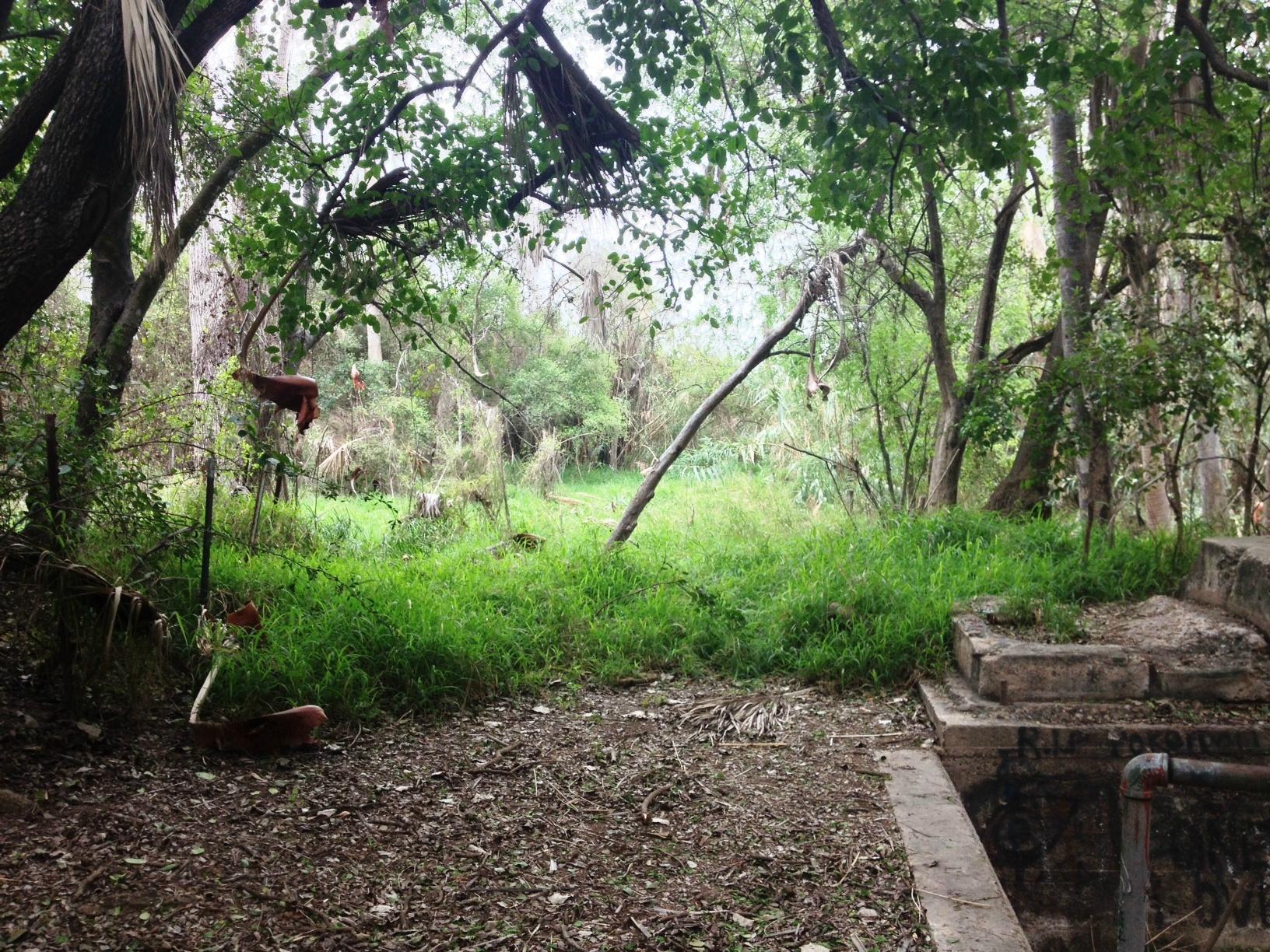 McAllen Nature Center