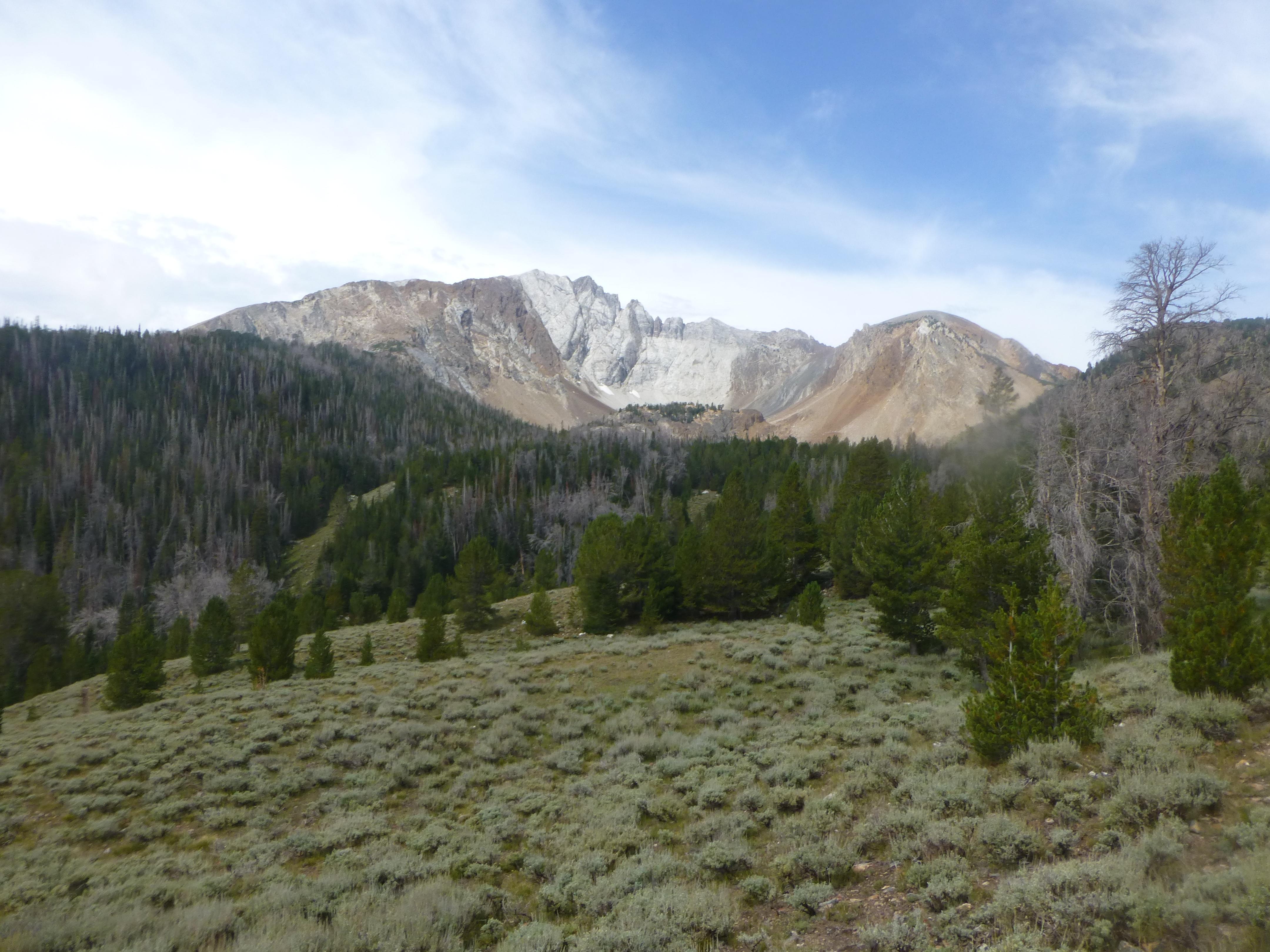 White Cloud Outfitter