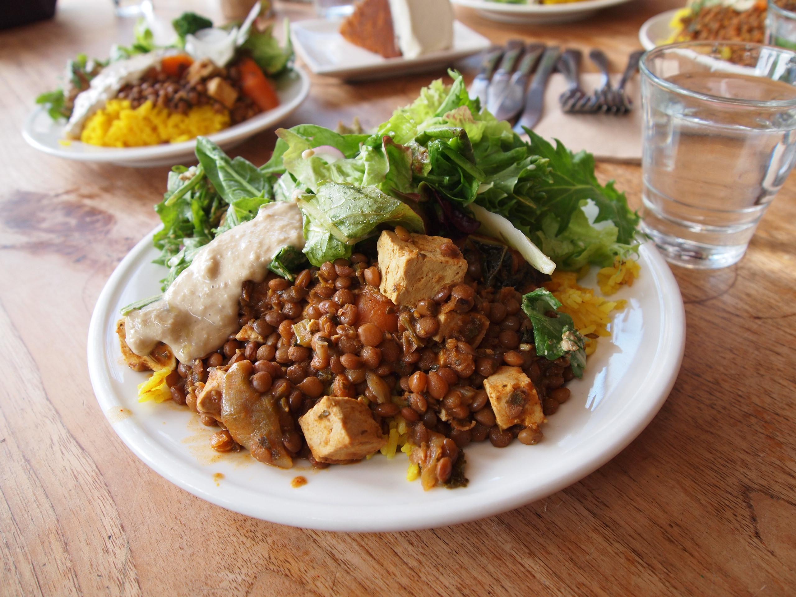 Friends of the Earth