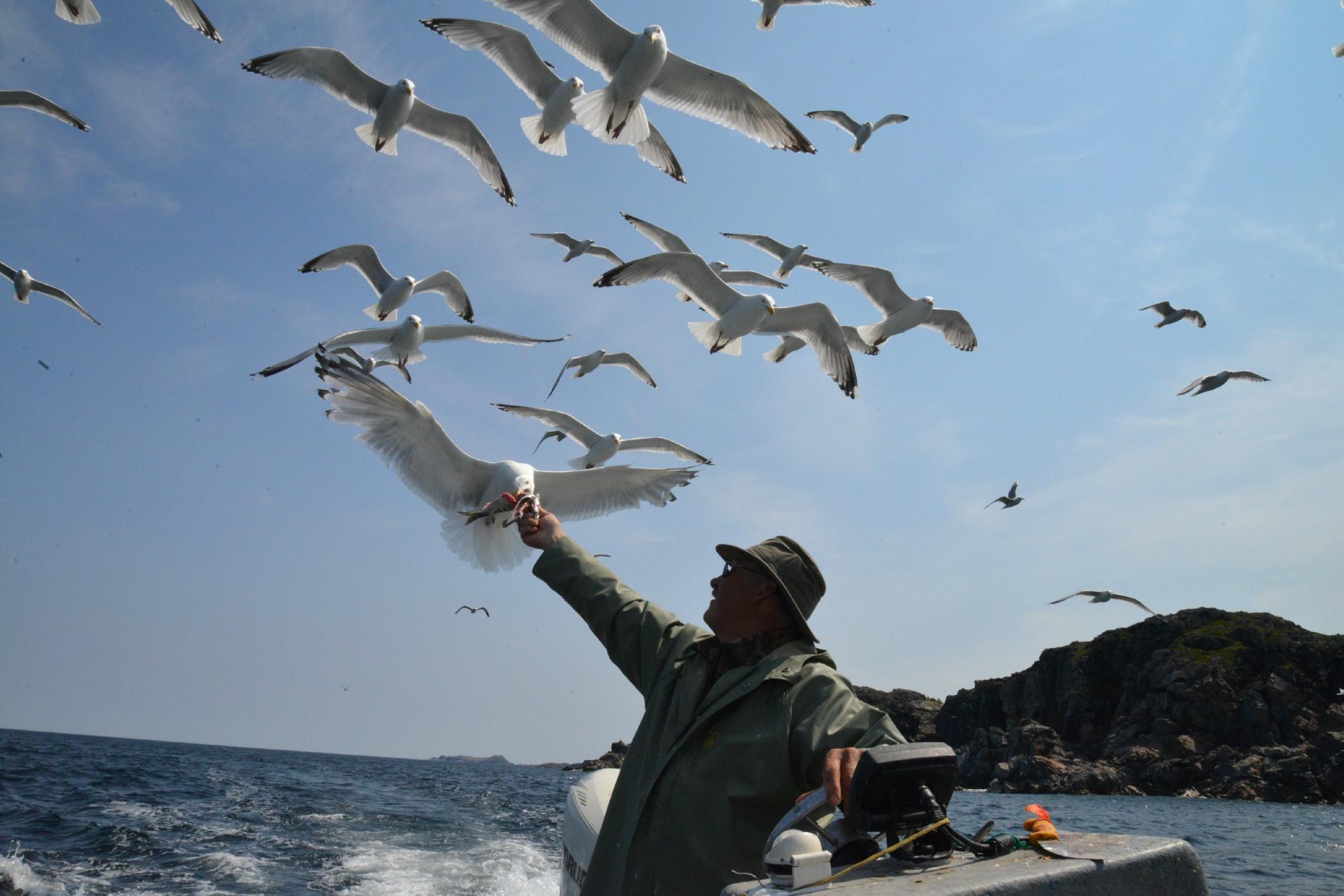Capt. Dave's Boat Tours