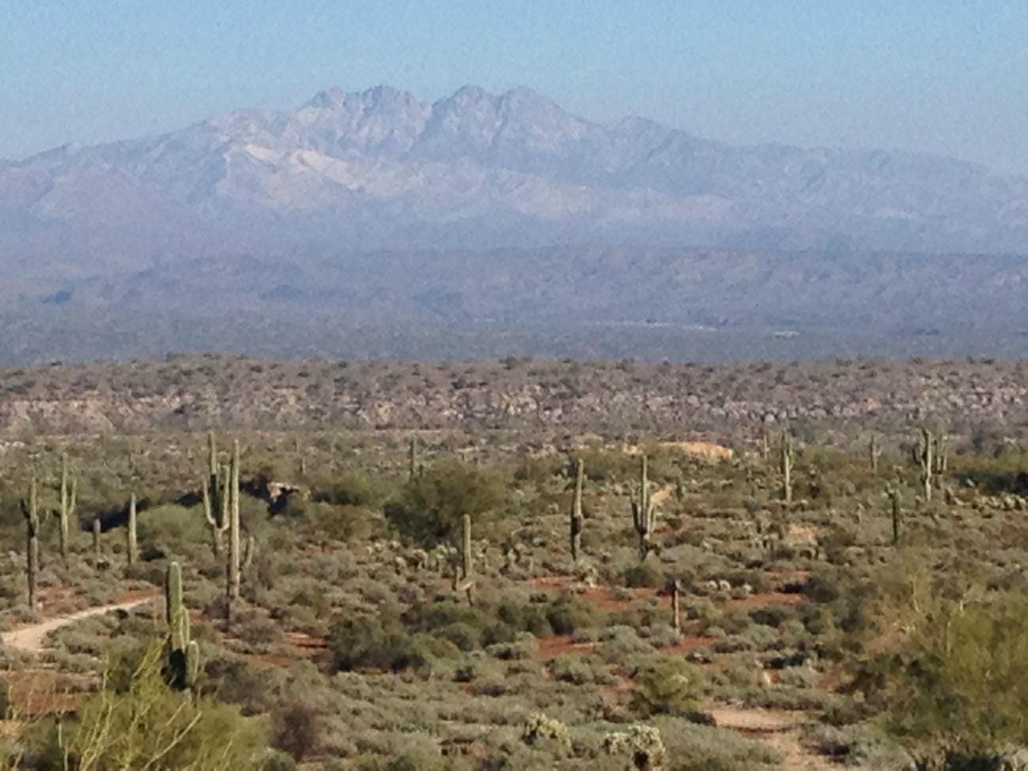 Pemberton Hiking Trail