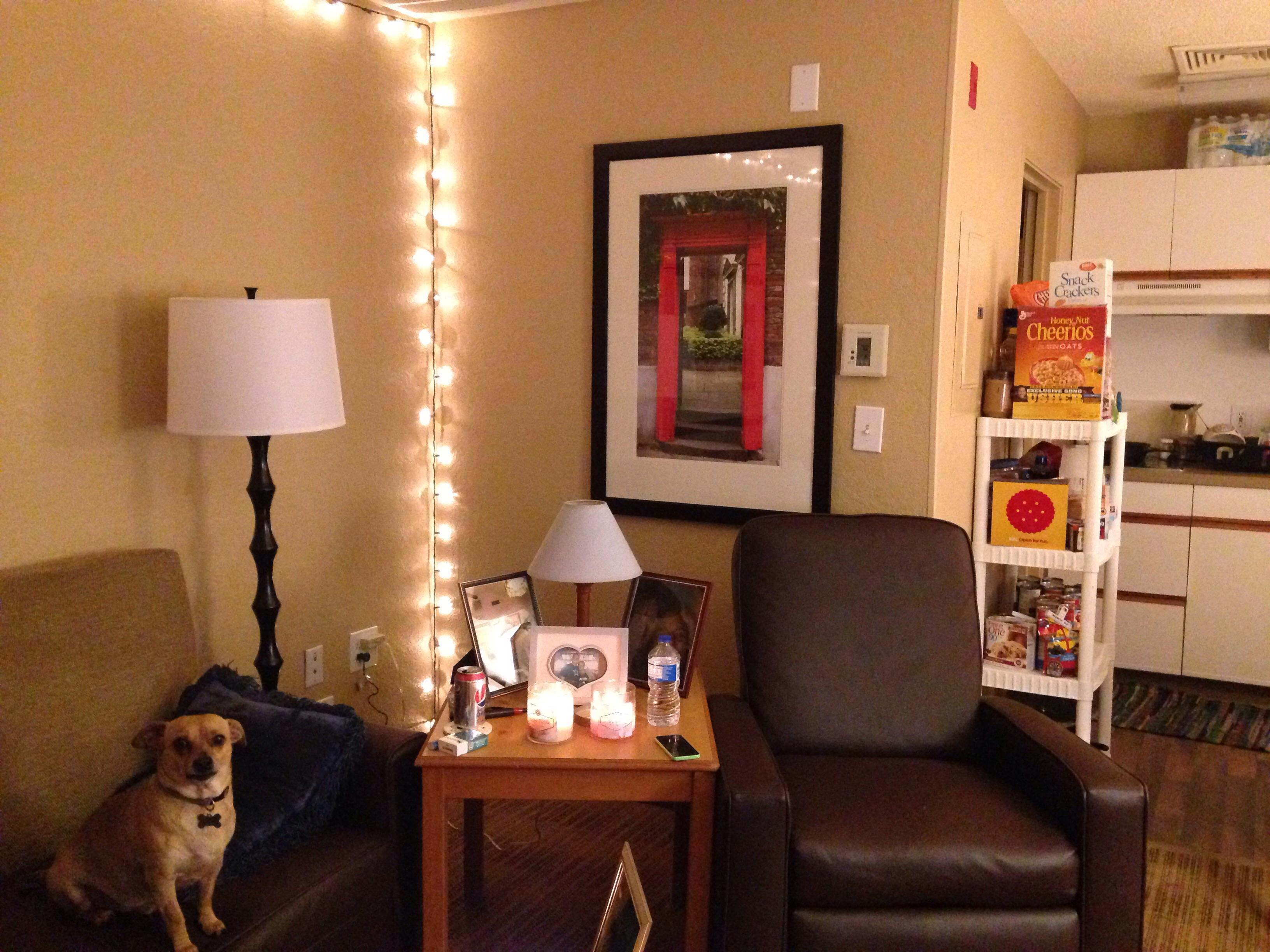 Photo by Kindrahanker