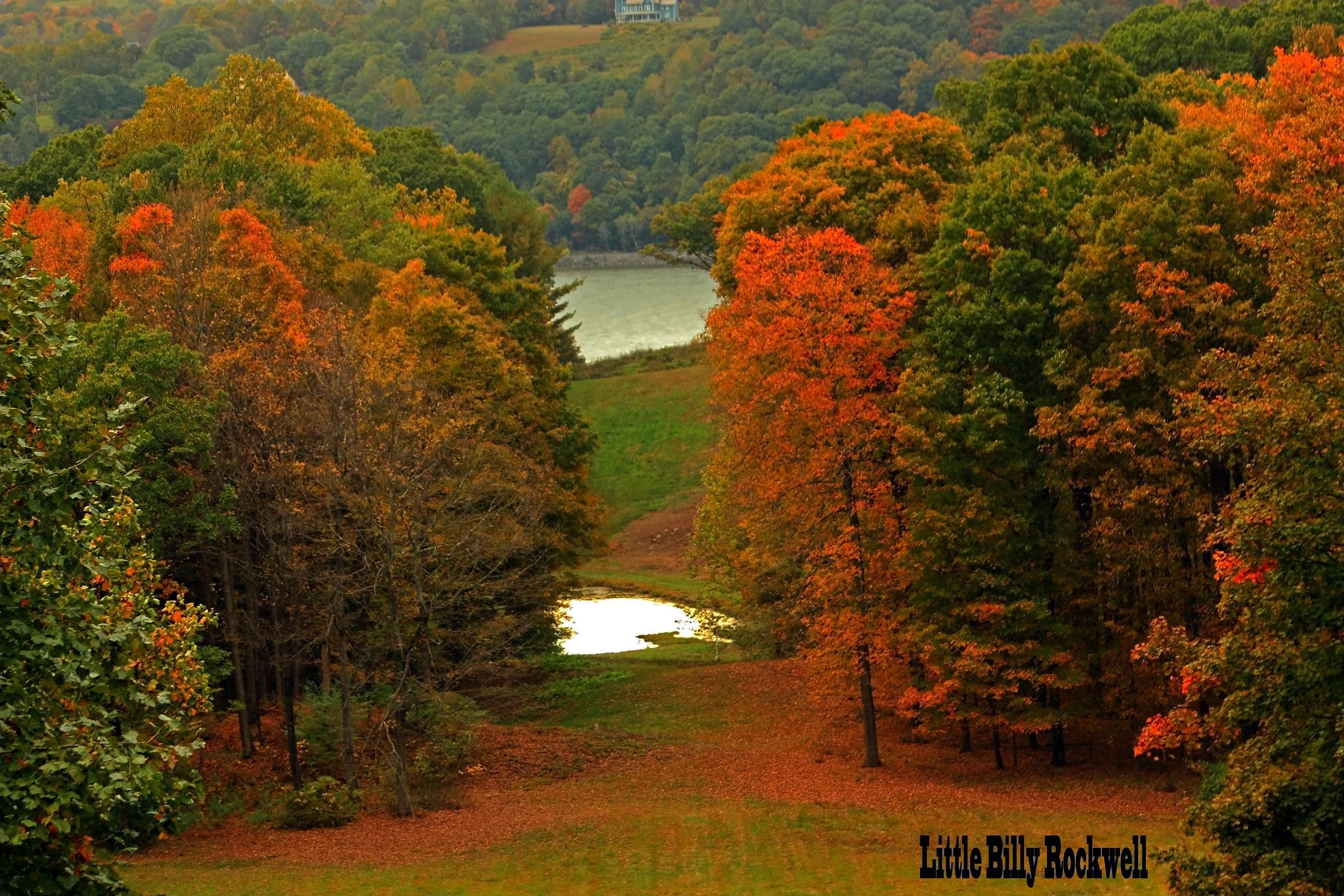 Locust Grove Estate